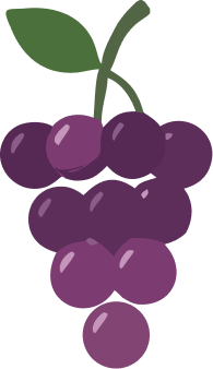 A bunch of purple grapes with a green leaf and stem