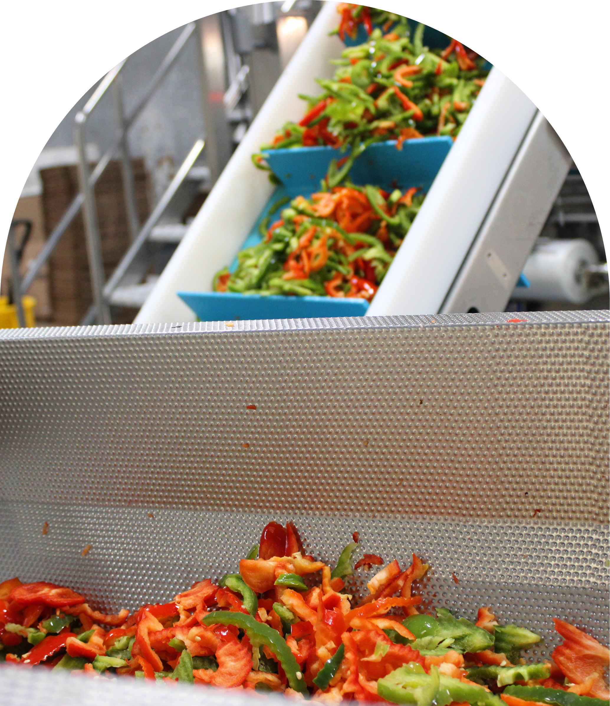 Colorful shredded vegetables, including green peppers and carrots, coming out of a sorting or processing machine in a food production facility.