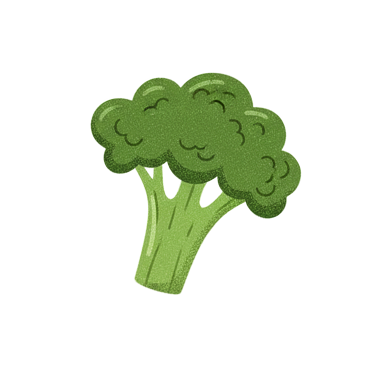 Green broccoli floret