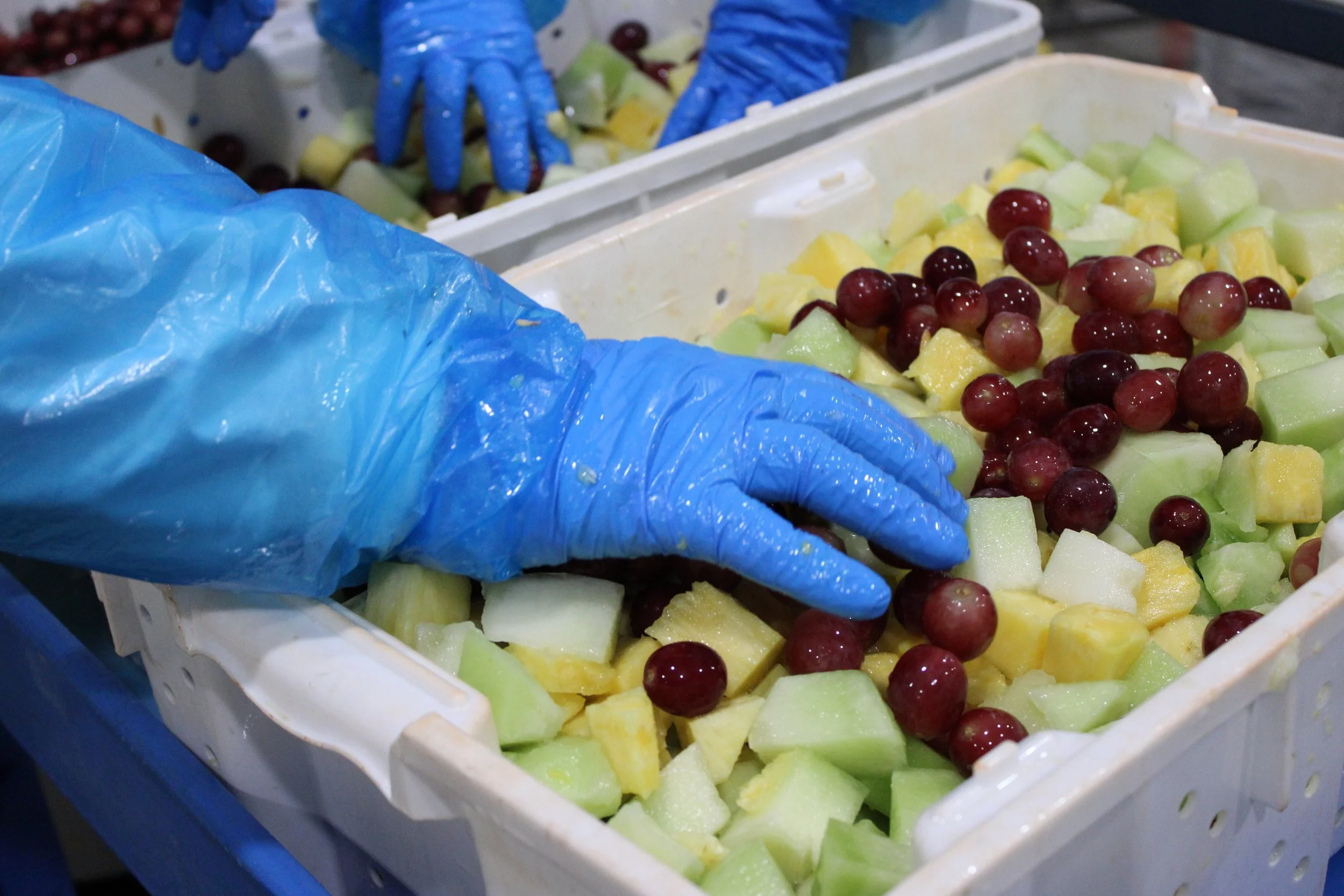 Workers wearing blue gloves handling chopped mixed fruits in containers at a processing facility.