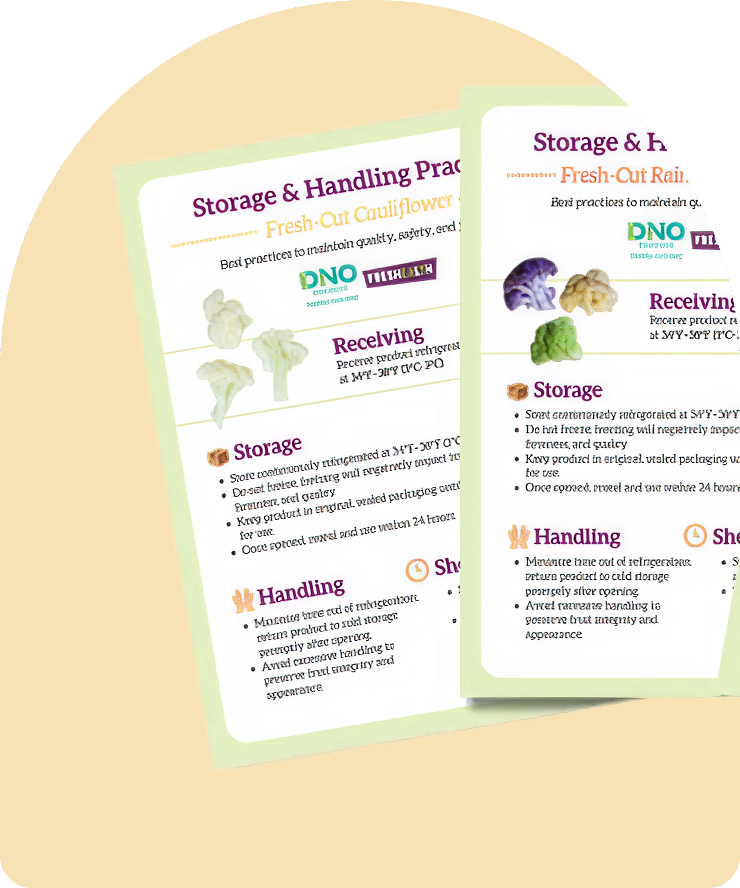 Colorful infographic page with text about storage, handling, and receiving practices for fresh-cut cauliflower. Contains small images of cauliflower and text in various colors including purple, orange, green, and black.