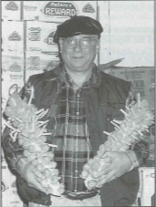 Tony Dinovo, DNO Produce 1989