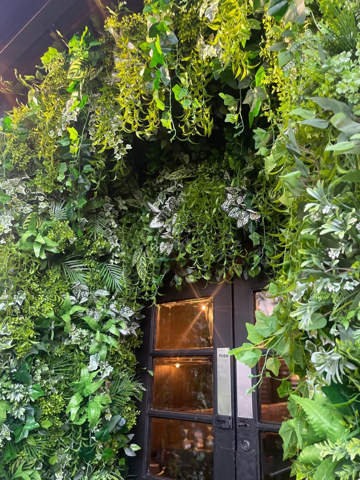 Black door surrounded by lush green foliage and hanging plants, with a warm light visible inside