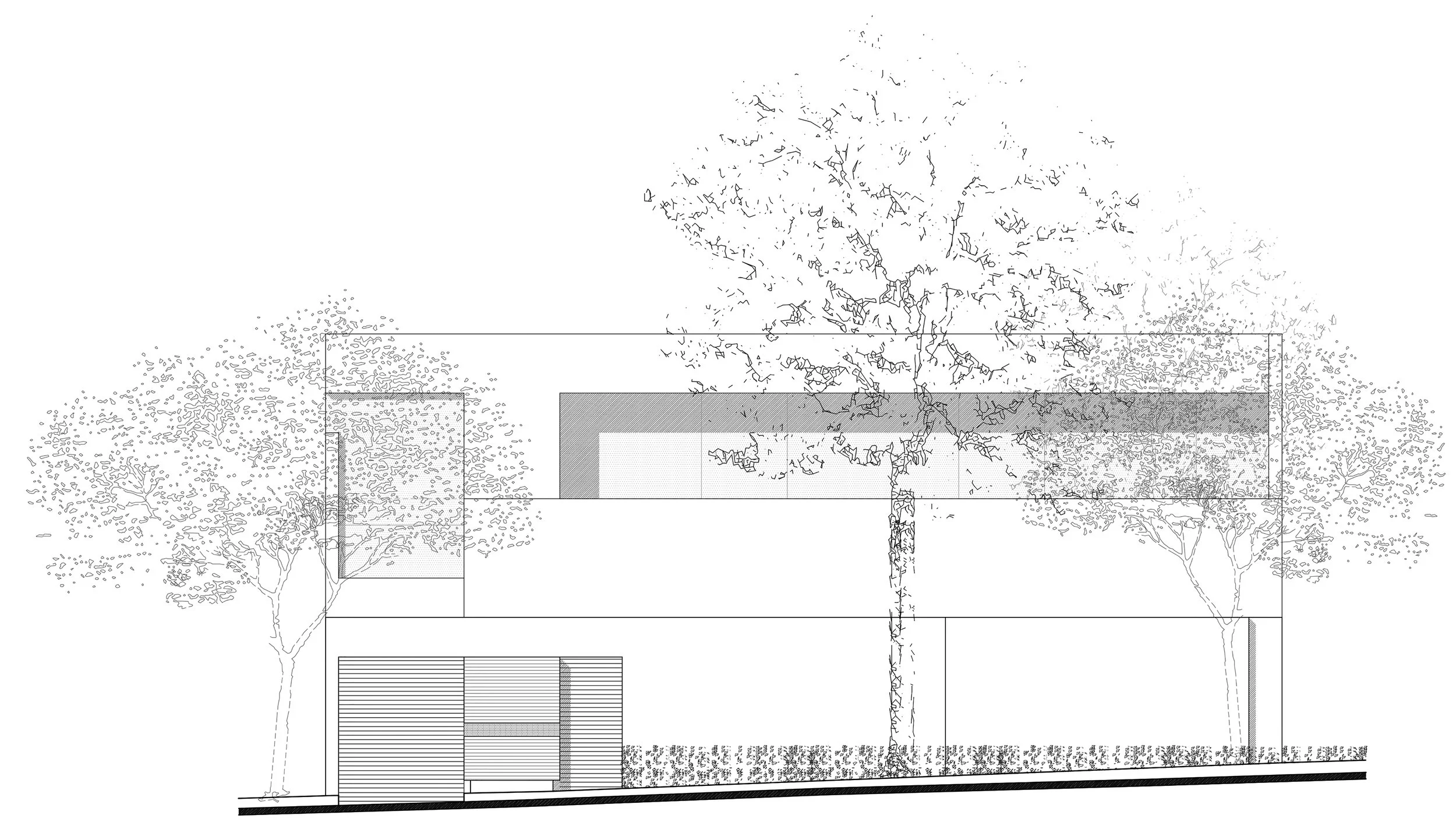 2 FACHADA LA PALMA.jpg