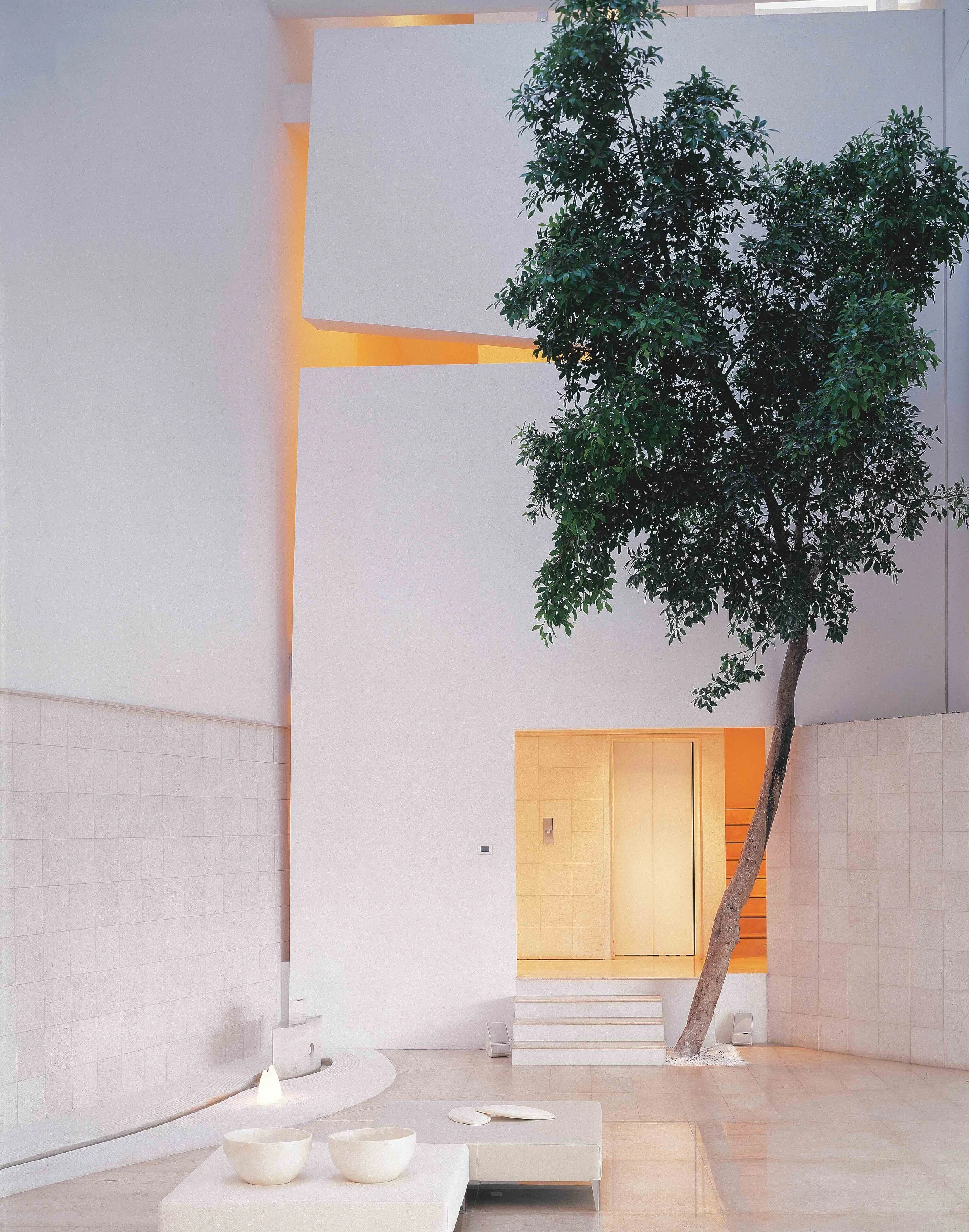 10-EUCALIPTOS 77.jpeg