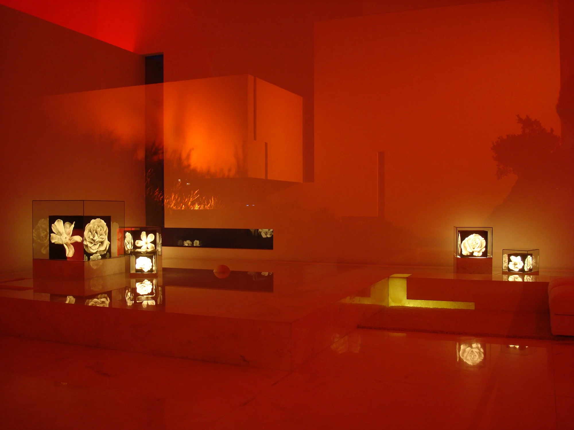 Sala de exposición con arte en vidrio y una pared de color rojo brillante. Architecture & Design by Miguel Ángel Aragonés | Taller Aragonés. Photography by Joe Fletcher