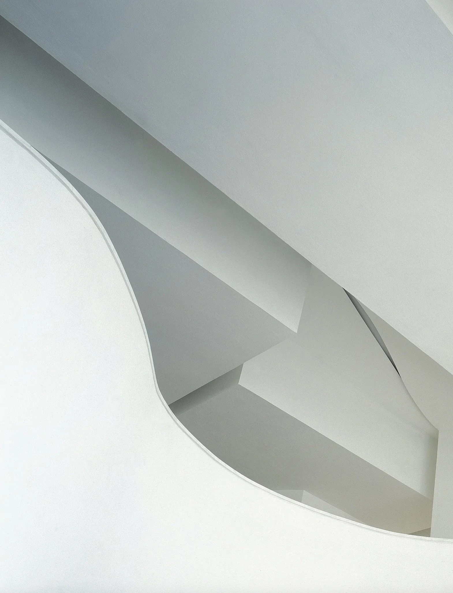 Eucaliptos 55 by Taller Aragonés. Imagen abstracta de formas curvas y líneas en tonos grises y blancos. 