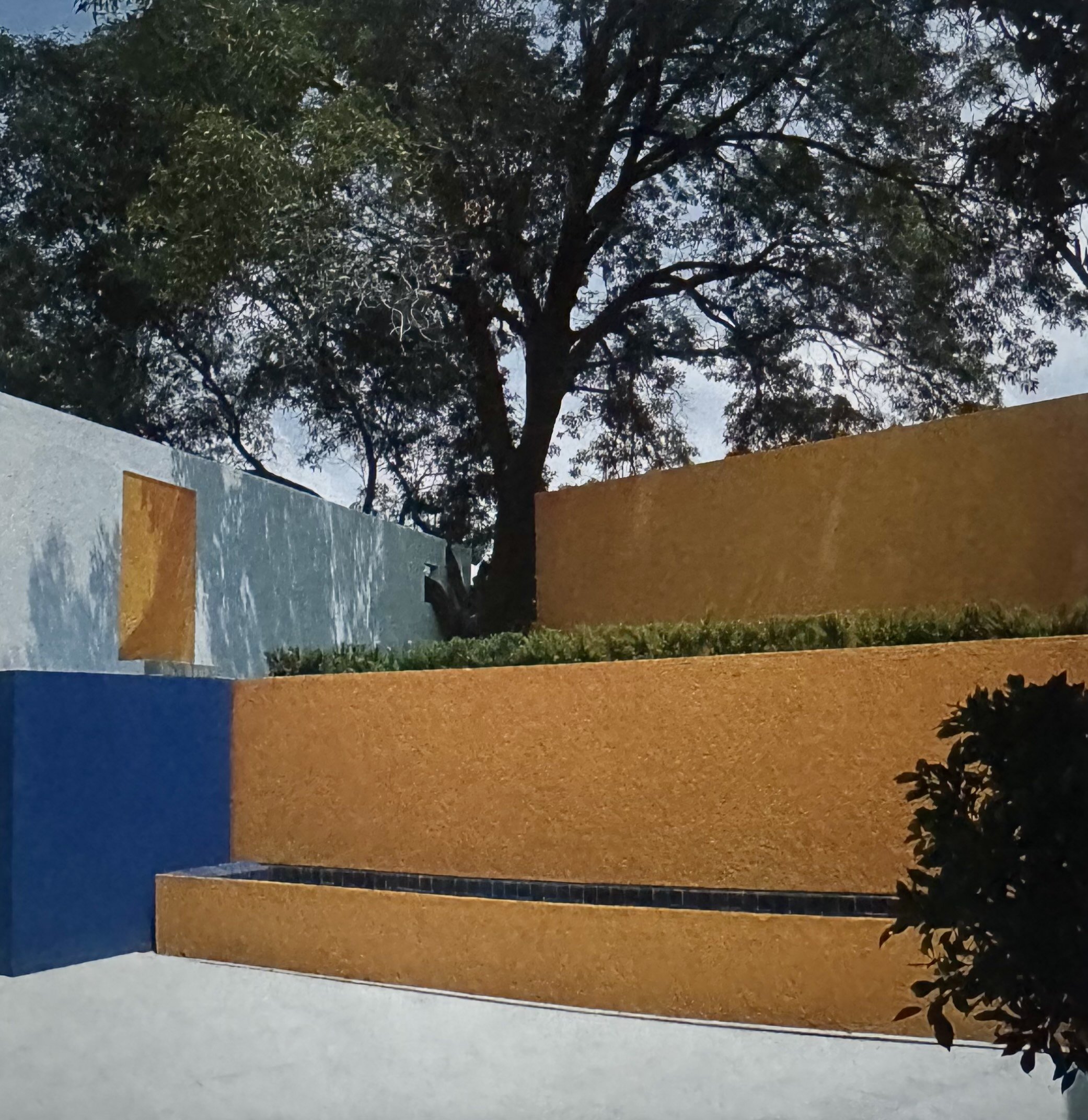 Vista de un árbol con hojas verdes en un fondo de cielo claro, al fondo hay una pared de colores naranja y azul.