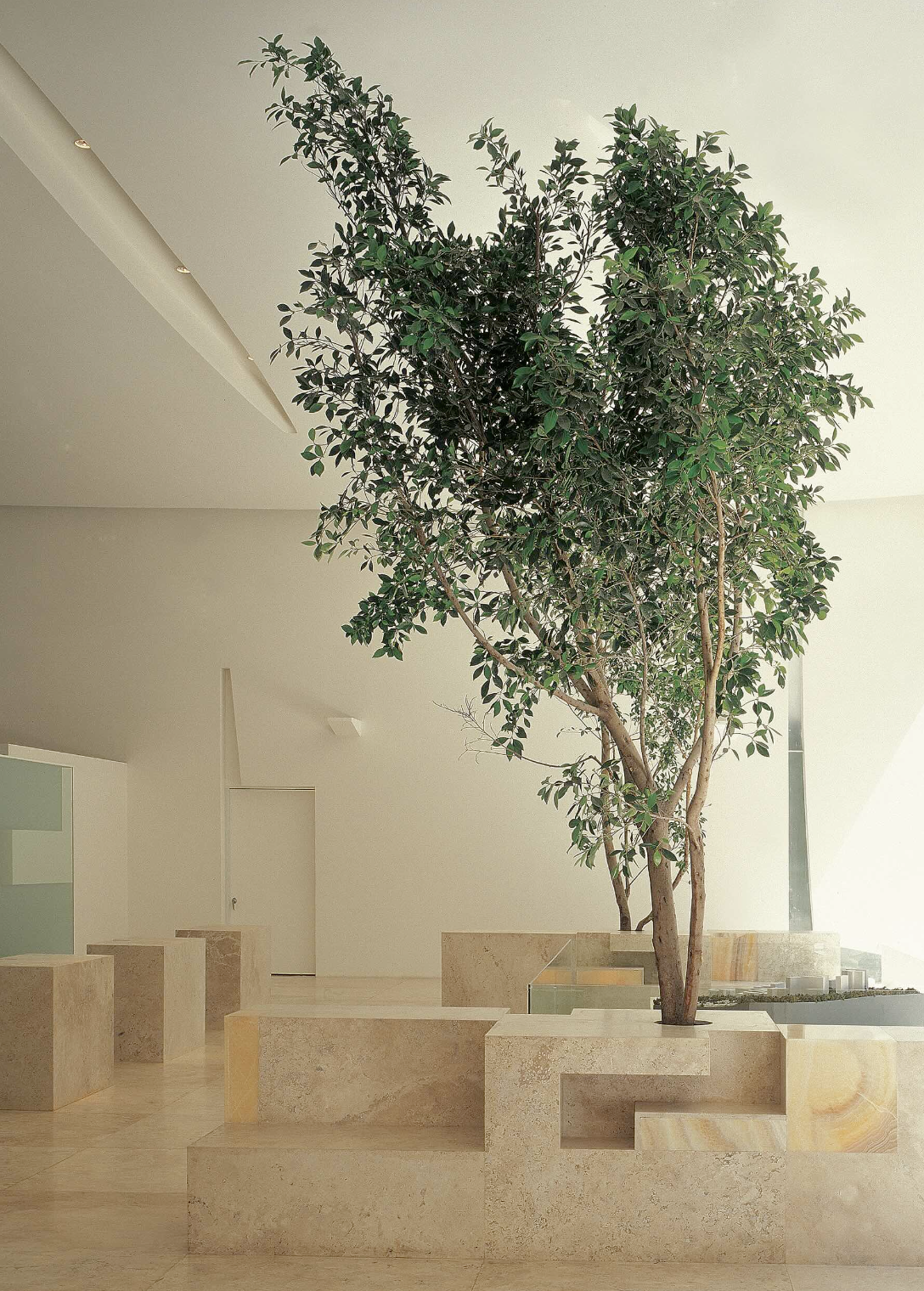 Captura de pantalla 2026-04-22 a las 8.53.39 a. m..png