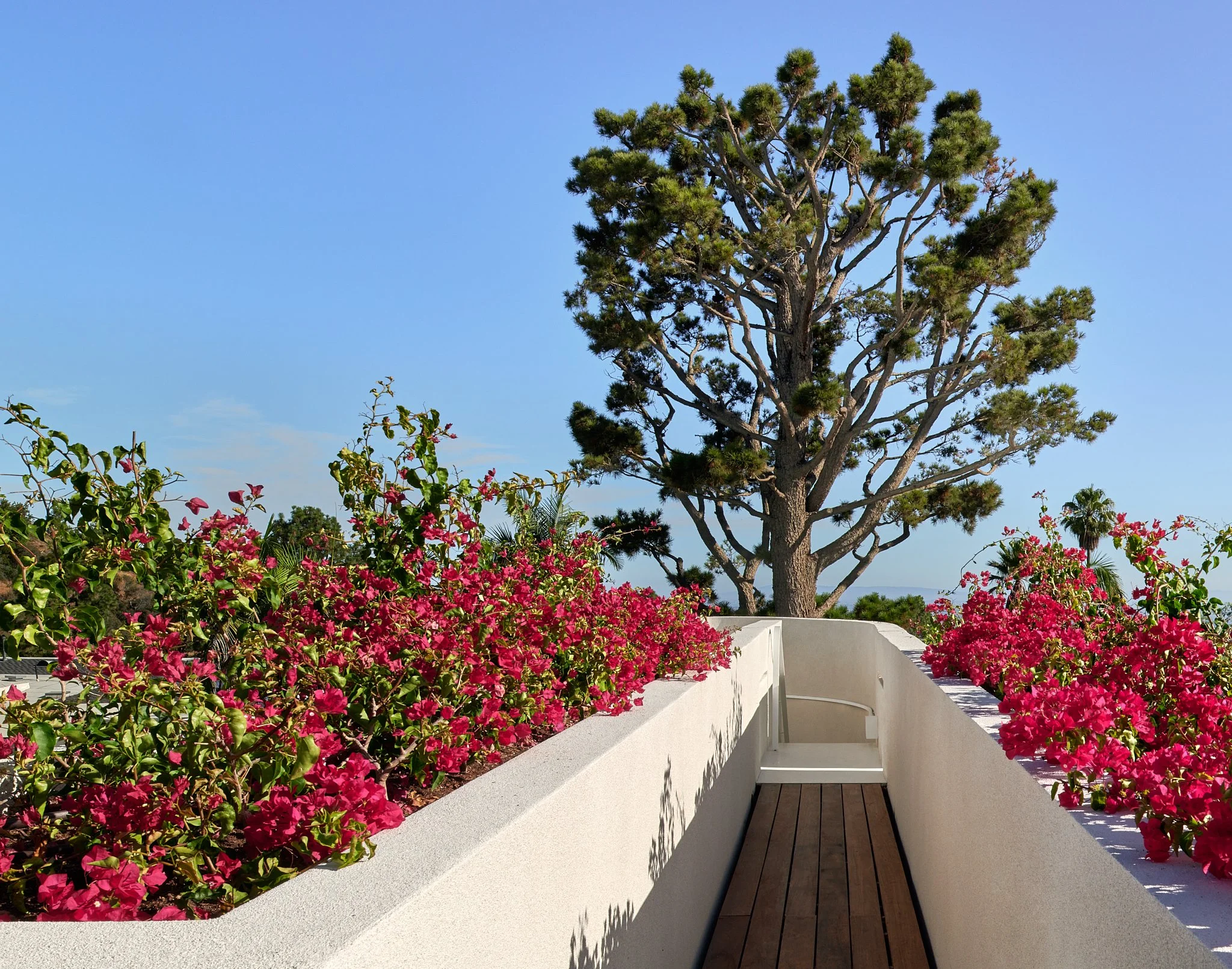 510 Arkell_LoRes__06.jpg