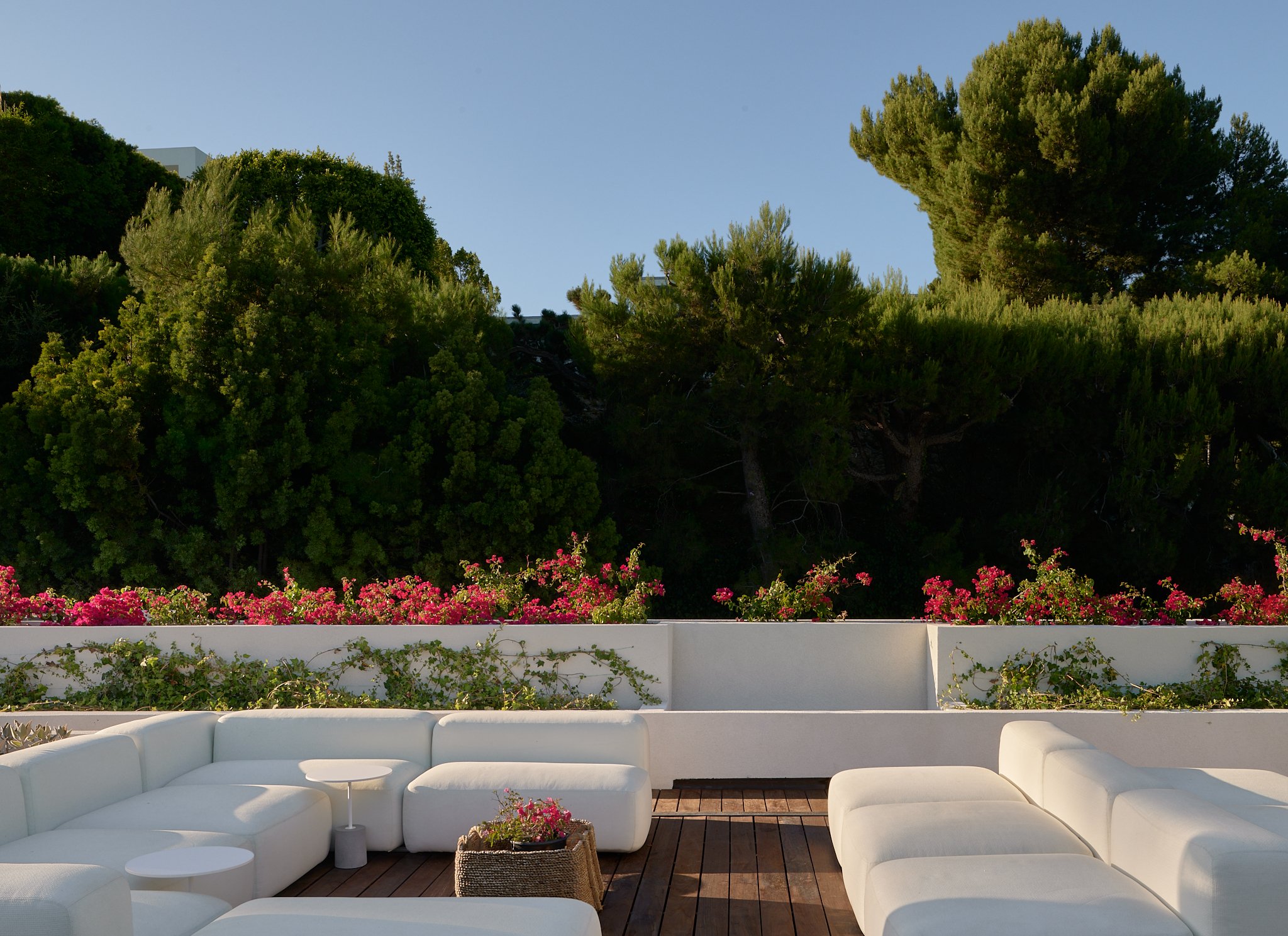 510 Arkell_LoRes__02.jpg