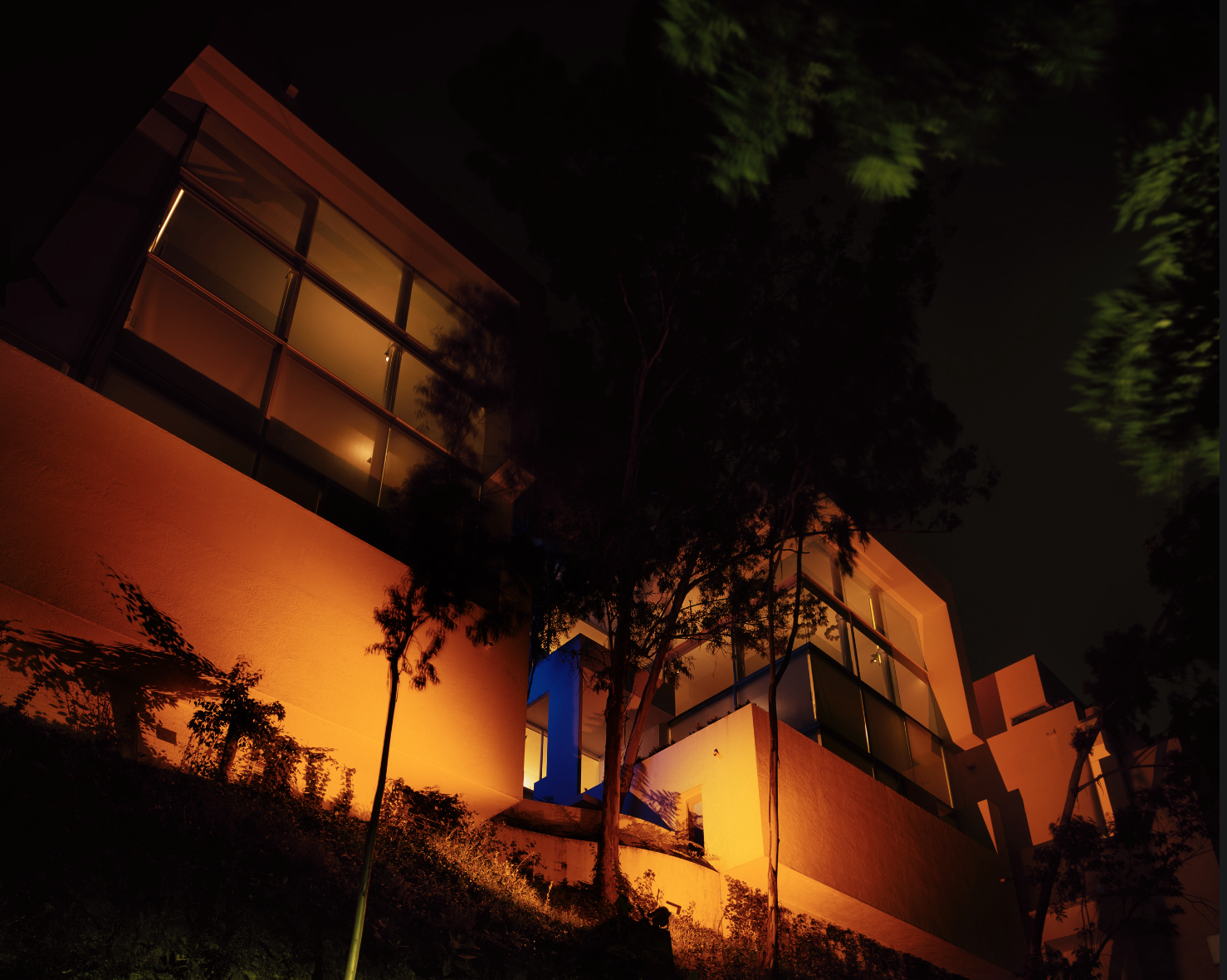 Edificio moderno iluminado de noche con grandes ventanas y árboles en el entorno