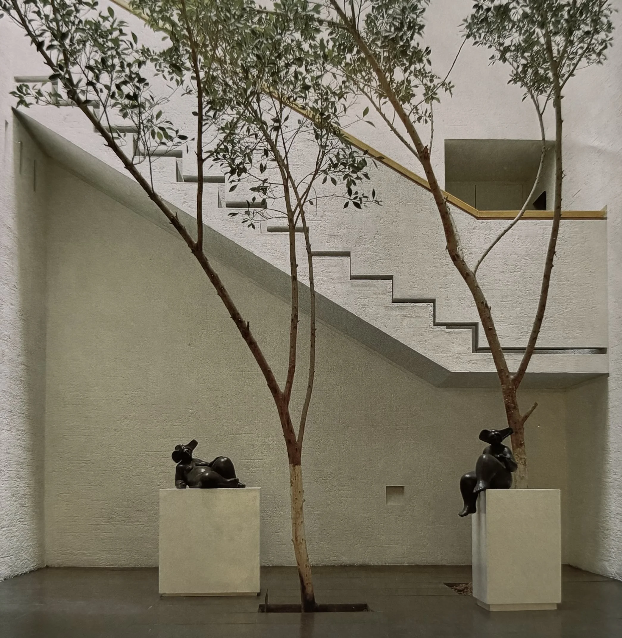 Un árbol con ramas delgadas y hojas pequeñas en una galería con paredes blancas y escaleras, y varias figuras negras en las bases.