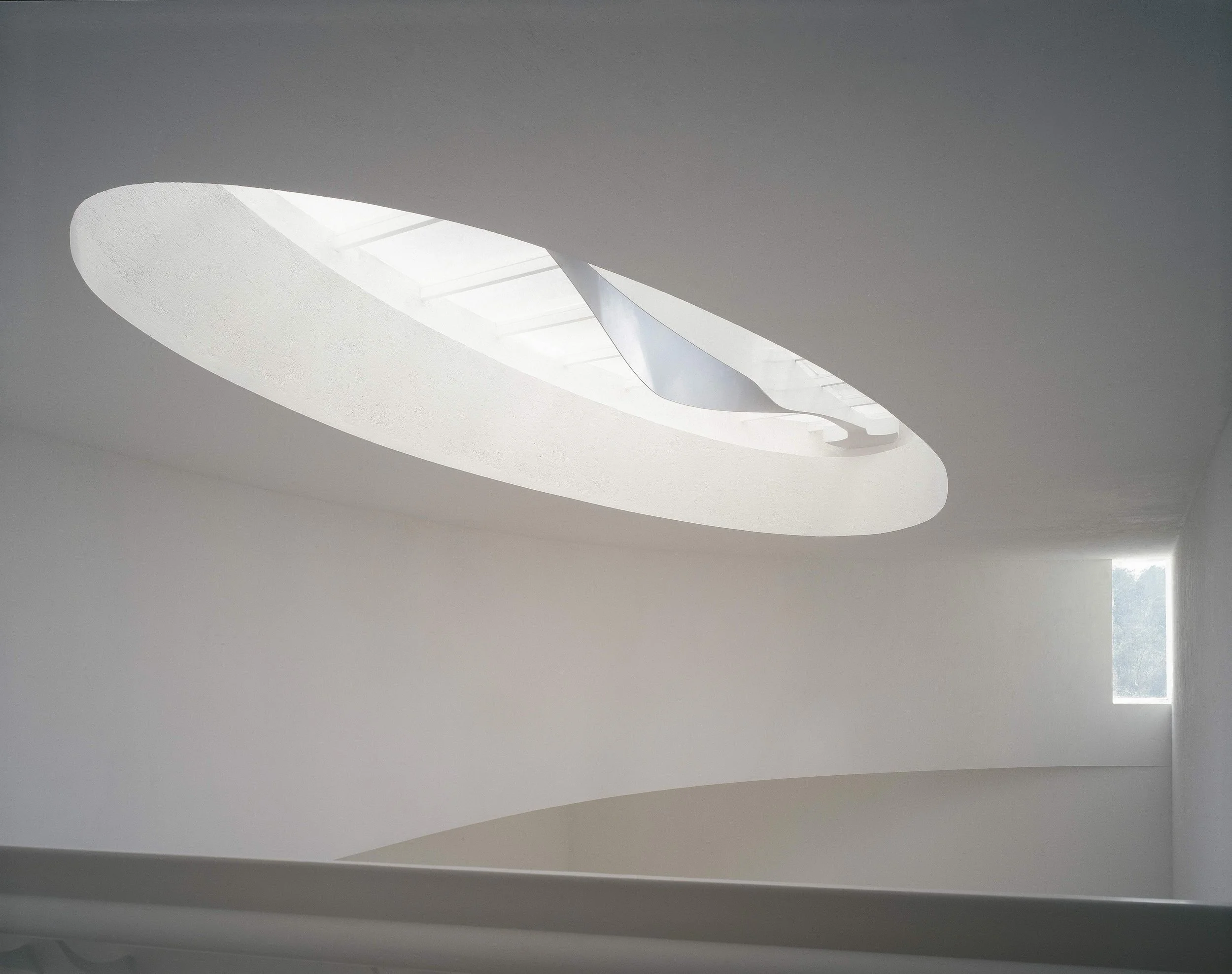 5-EUCALIPTOS 77.jpeg