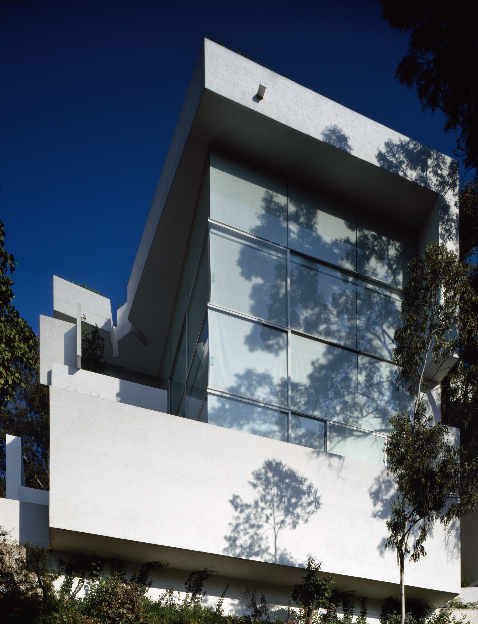 Edificio moderno de color blanco con ventanas grandes y reflejos de árboles y cielo en ellos, visto desde abajo, con árboles y vegetación en primer plano y un cielo azul al fondo.