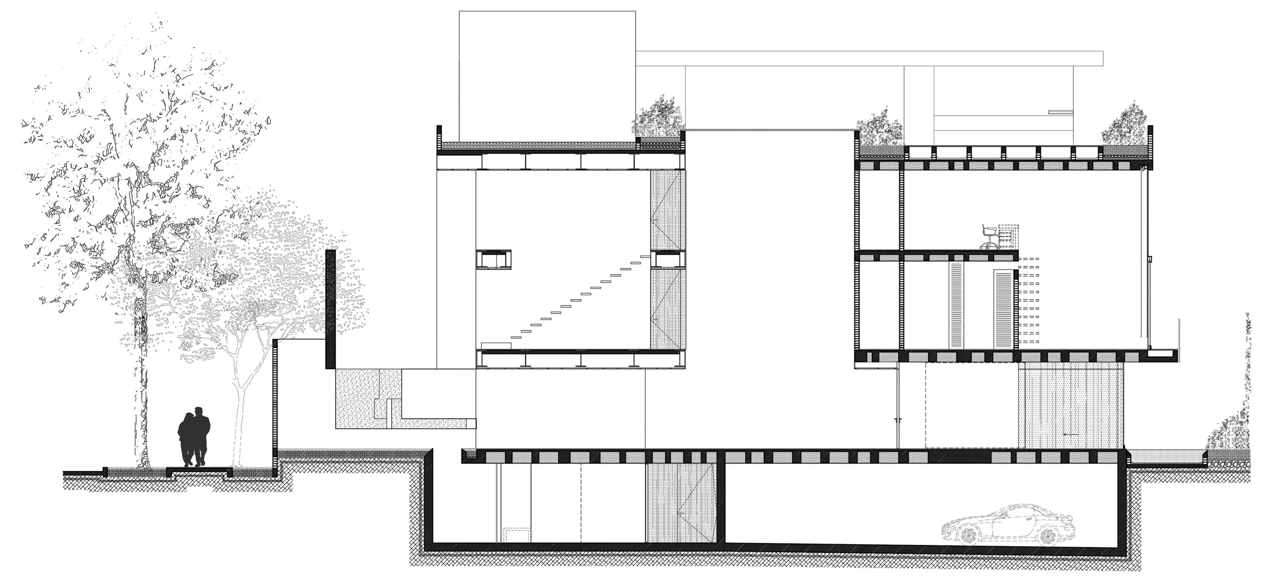 1 CORTE LA PALMA.jpg