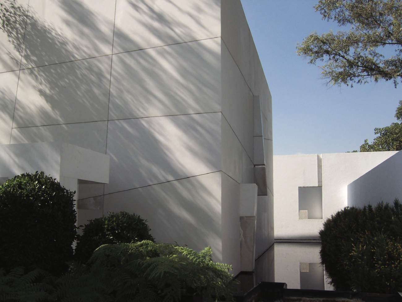 Edificio blanco con ventanas cuadradas y sombras de árboles, rodeado de vegetación.