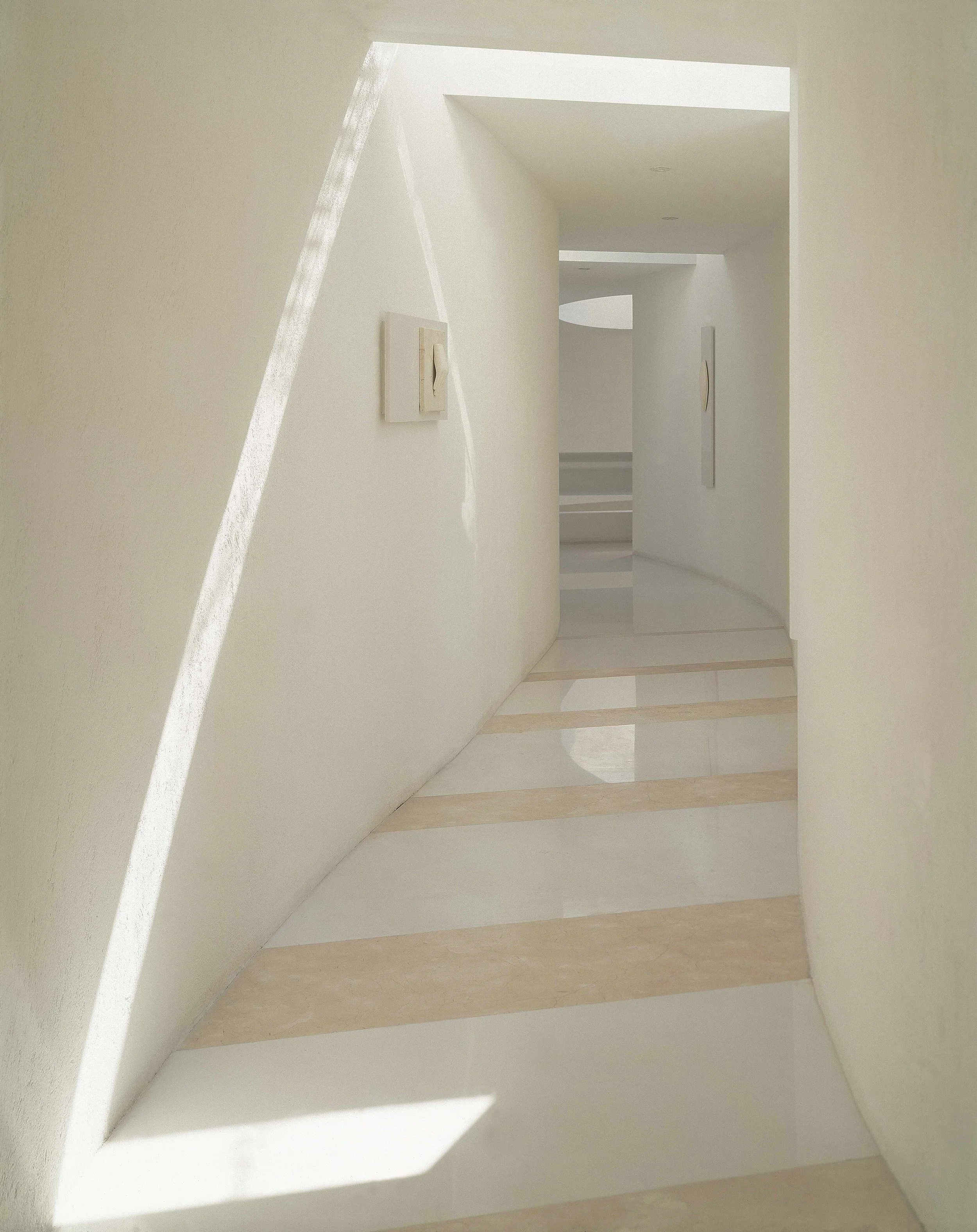 2-EUCALIPTOS 77.jpeg