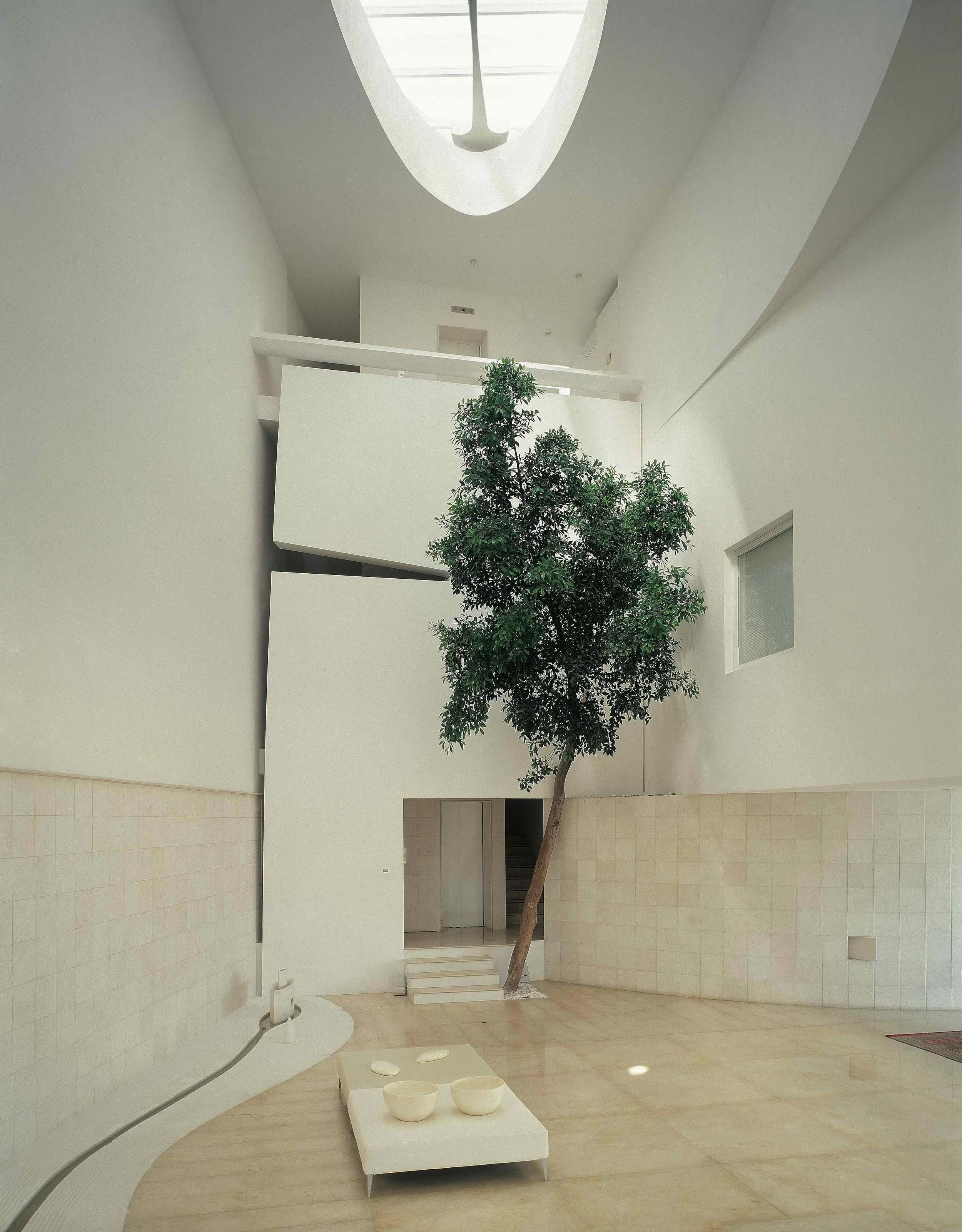 8-EUCALIPTOS 77.jpeg