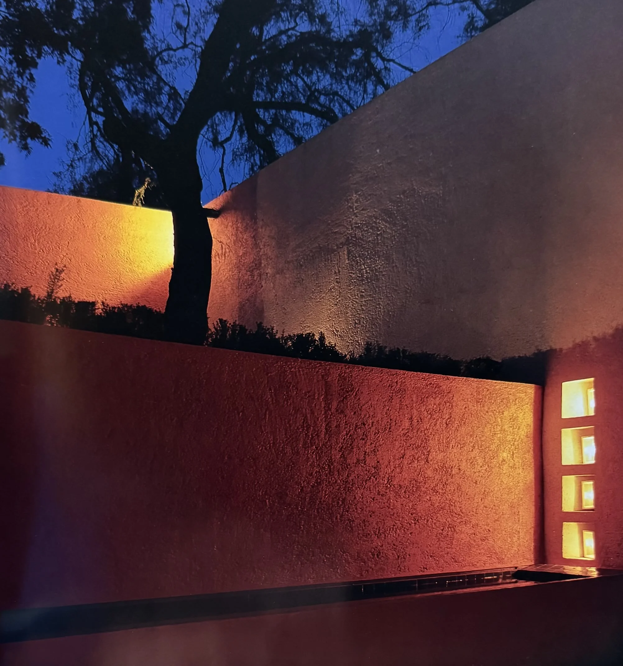 Pared de color rojo y anaranjado con luz amarilla en una esquina, sombra de árbol sin hojas sobre la pared, reflejo oscuro de árboles y cielo en una superficie de agua y ventanas con cuadro amarillo en la parte derecha.