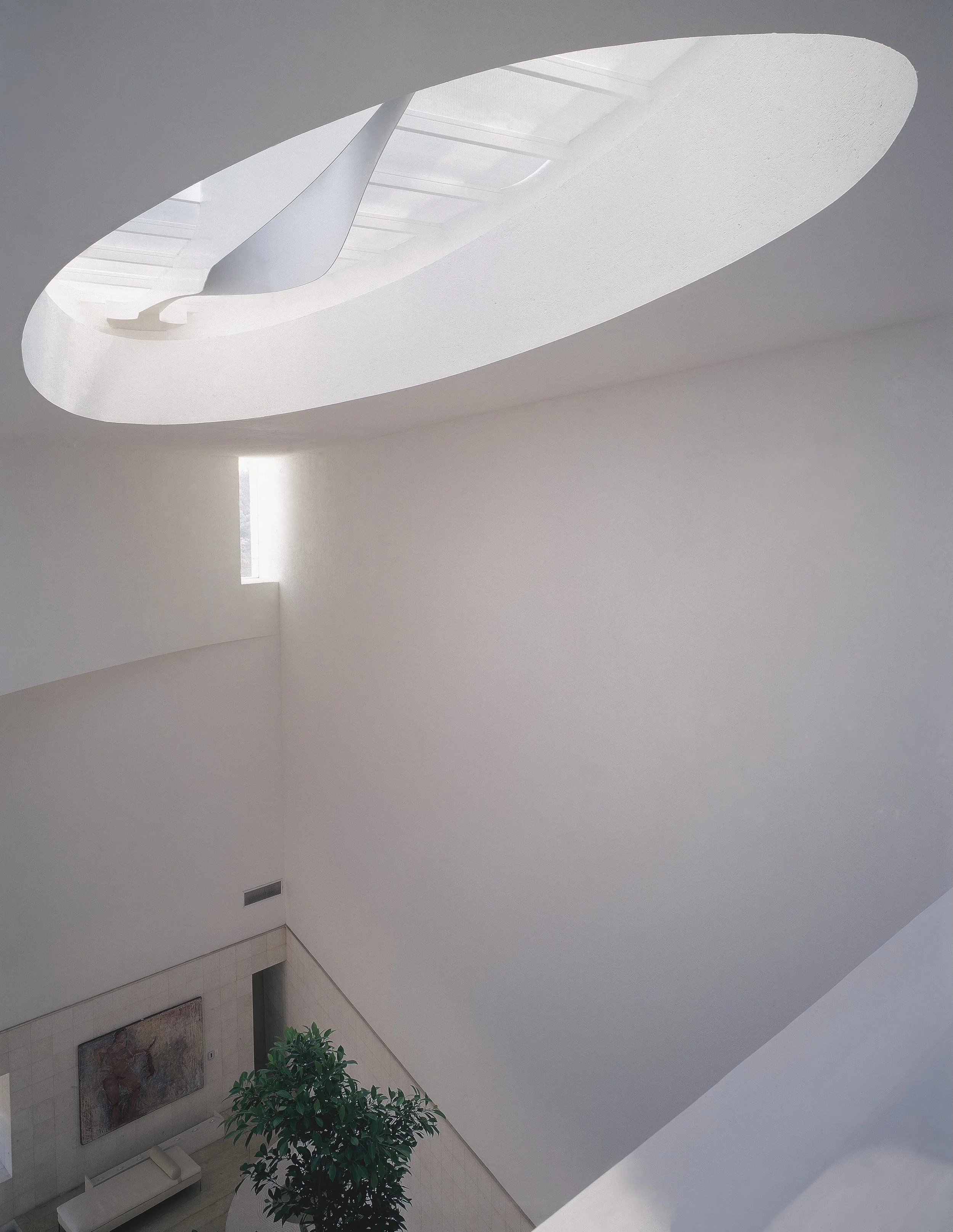 6-EUCALIPTOS 77.jpeg