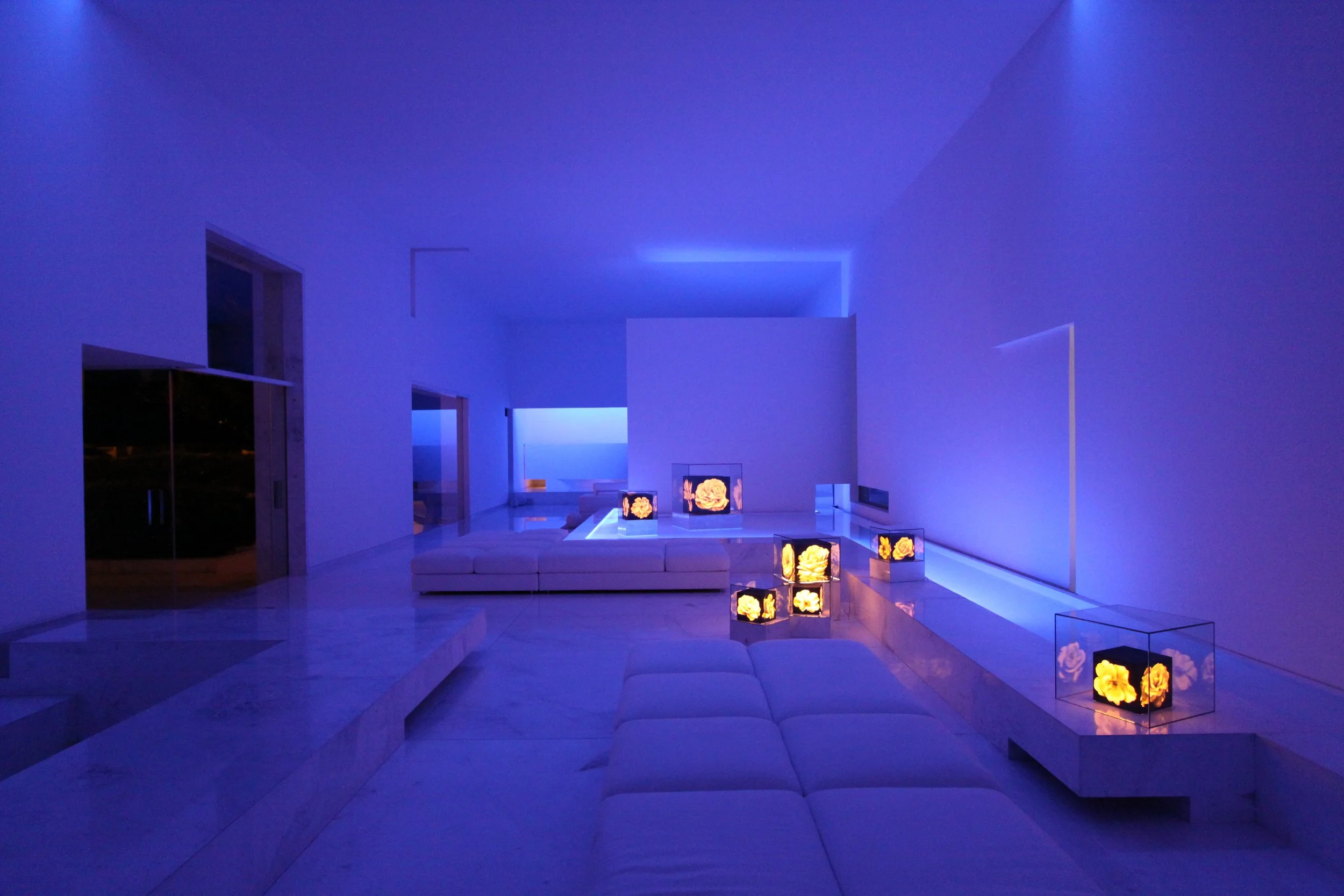 Interior de una sala moderna con iluminación azul, sofás blancos y luminarias en forma de cajas con flores