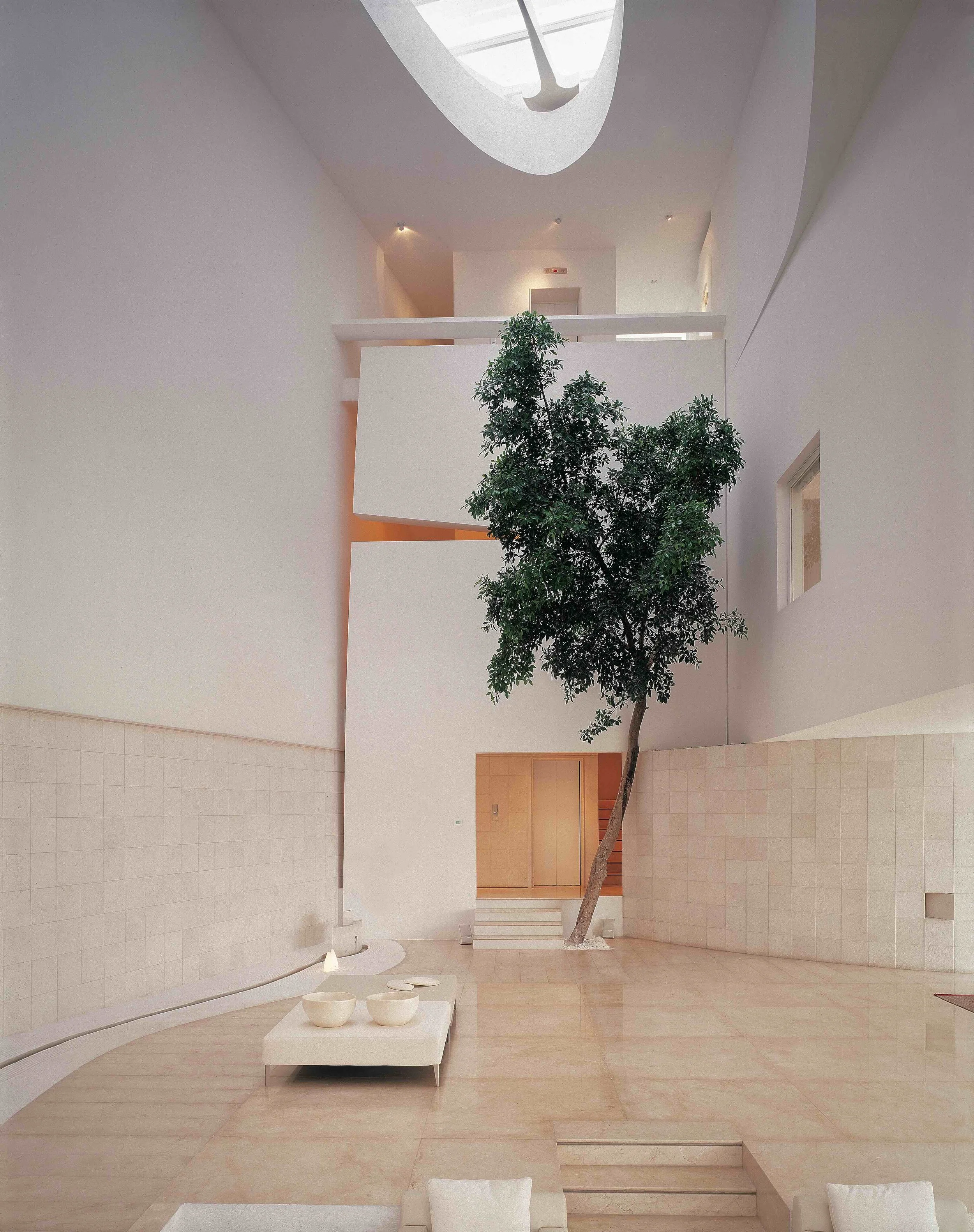 9-EUCALIPTOS 77.jpeg