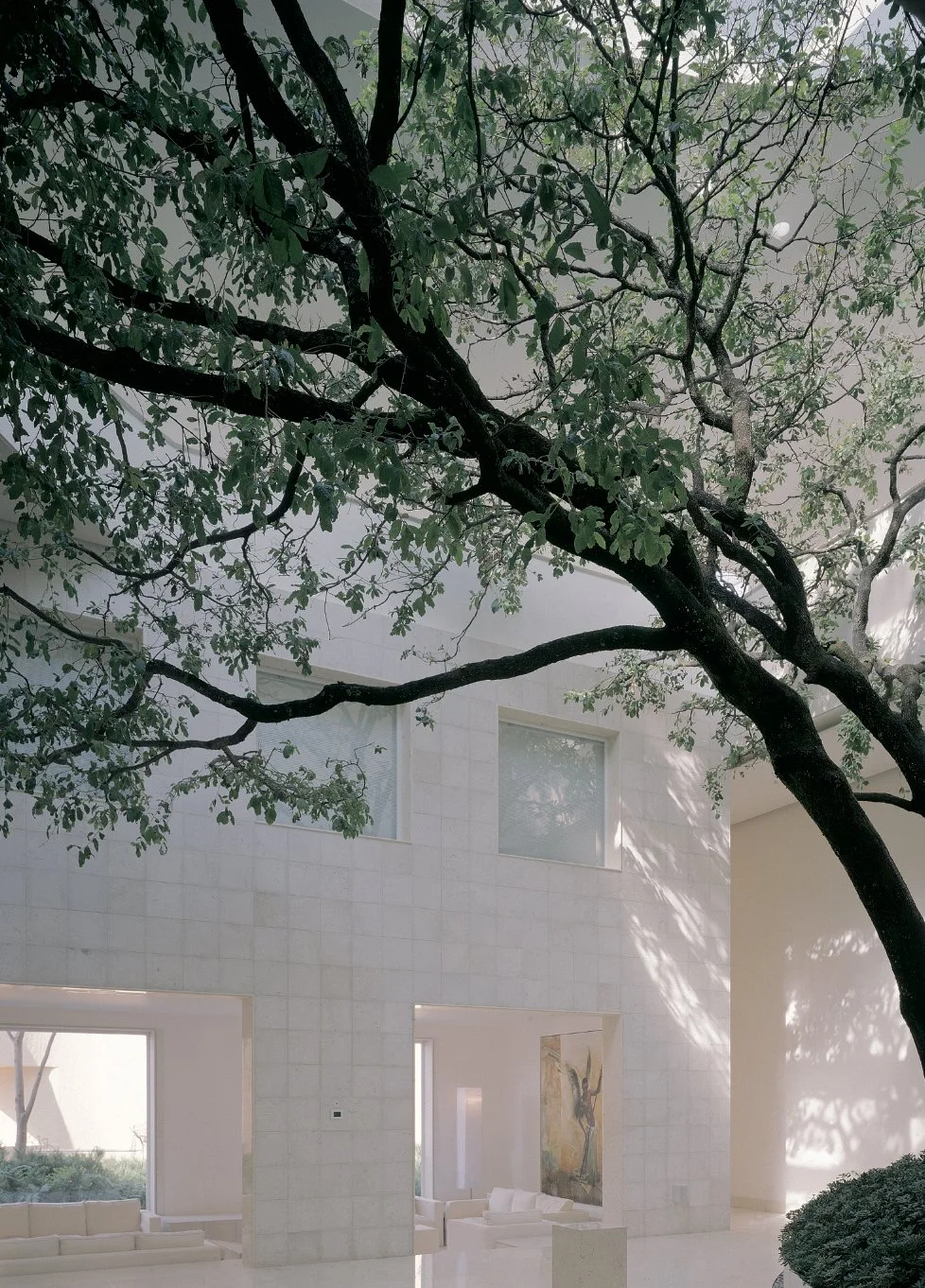 Captura de pantalla 2026-04-22 a las 11.13.15 a. m..jpg