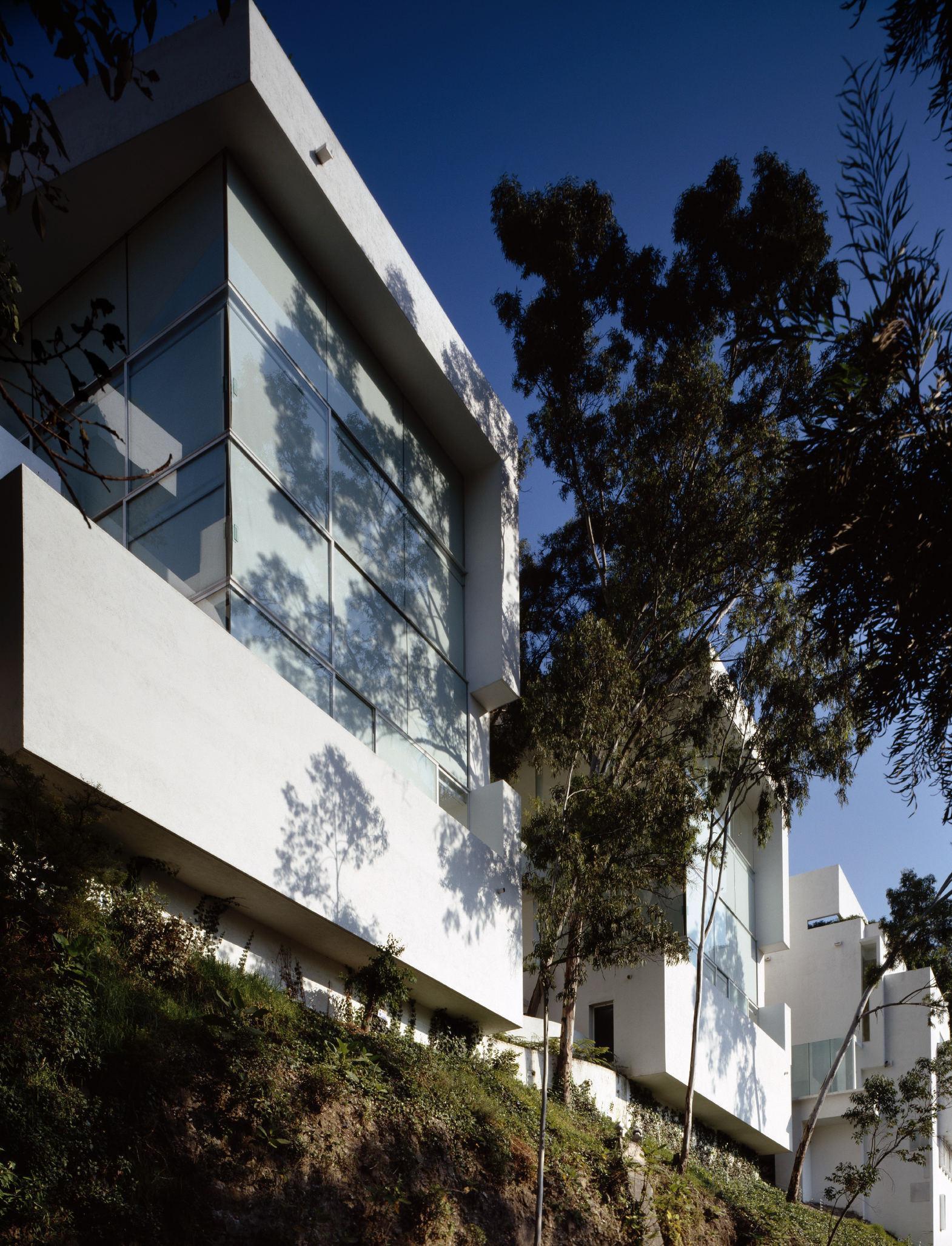 Edificio moderno con muchas ventanas de vidrio, rodeado de árboles y vegetación, en un día soleado con cielo azul.