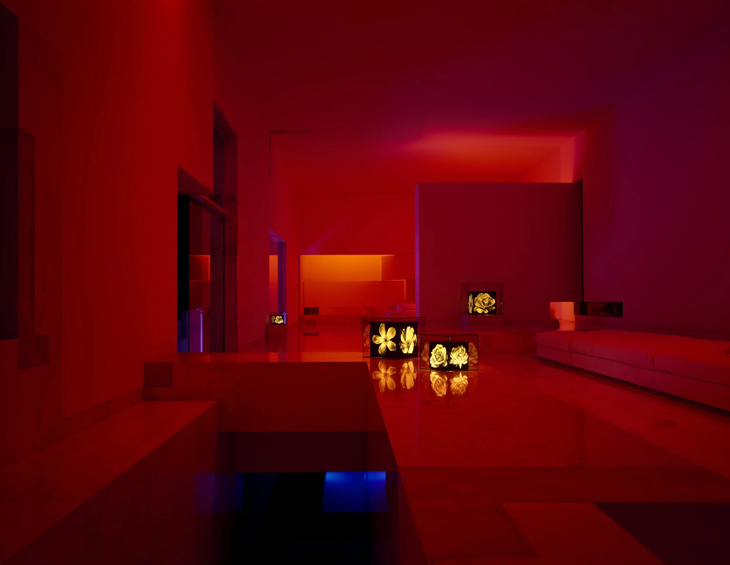 Interior moderno con iluminación roja y decoraciones florales en pantallas. Architecture & Design by Miguel Ángel Aragonés | Taller Aragonés. Photography by Joe Fletcher