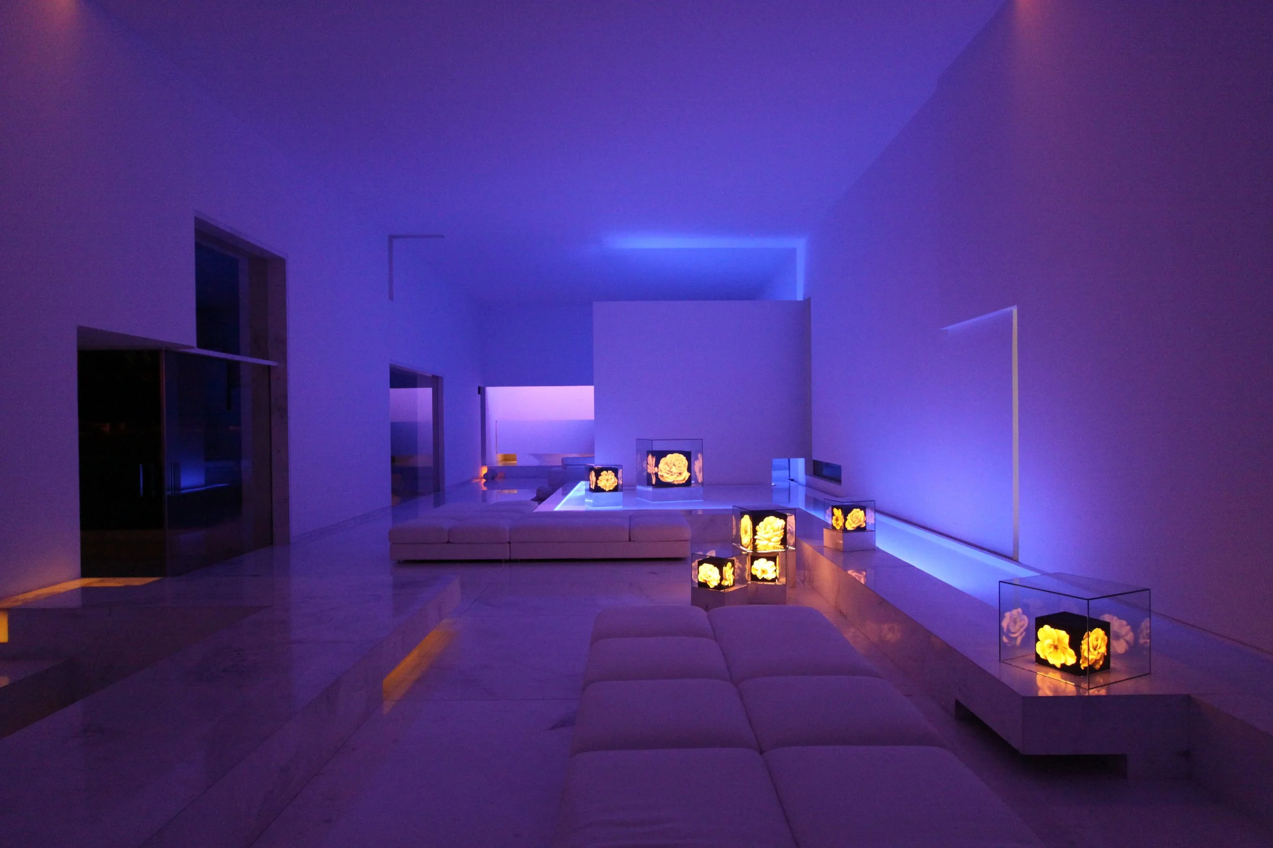 Sala moderna con iluminación azul y pantallas con flores amarillas.