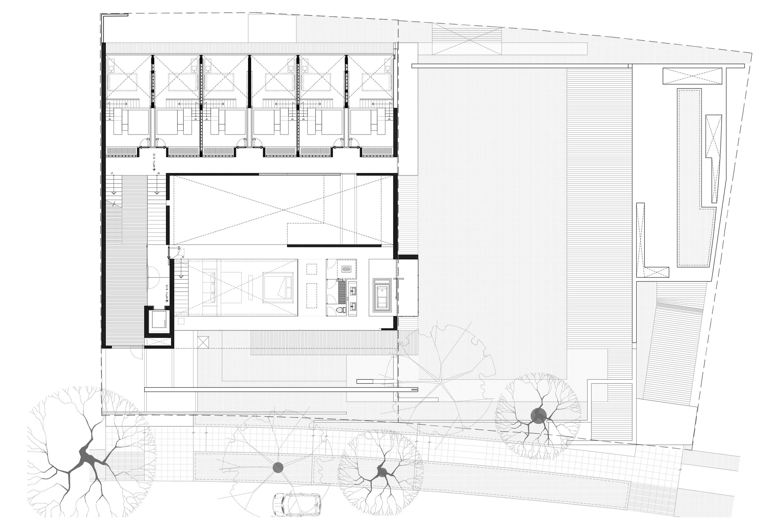 PLANTA 4 SIERRA GORDA.jpg