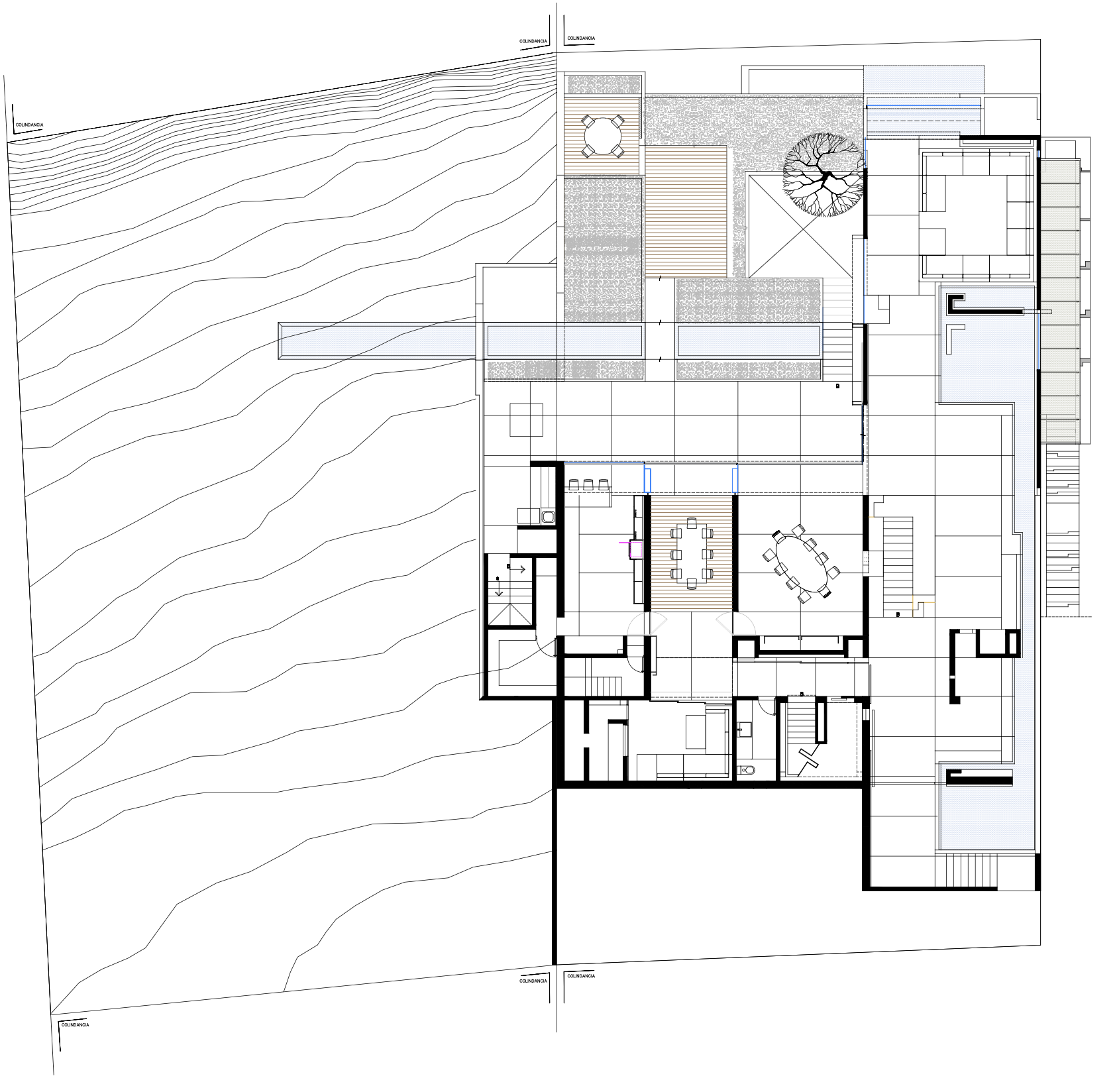 Plano arquitectónico de una casa con diferentes habitaciones, áreas exteriores y un árbol en la parte central del diseño.