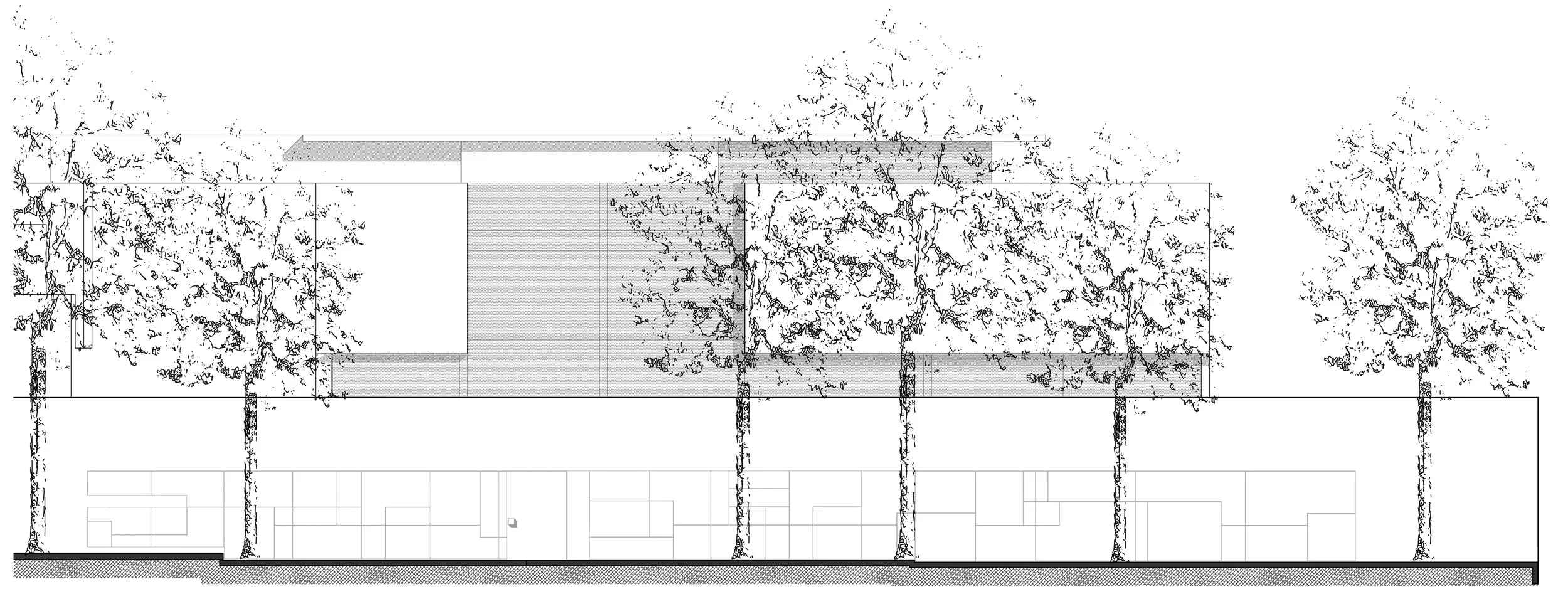 Rombo1_Fachada Vista calle.jpg