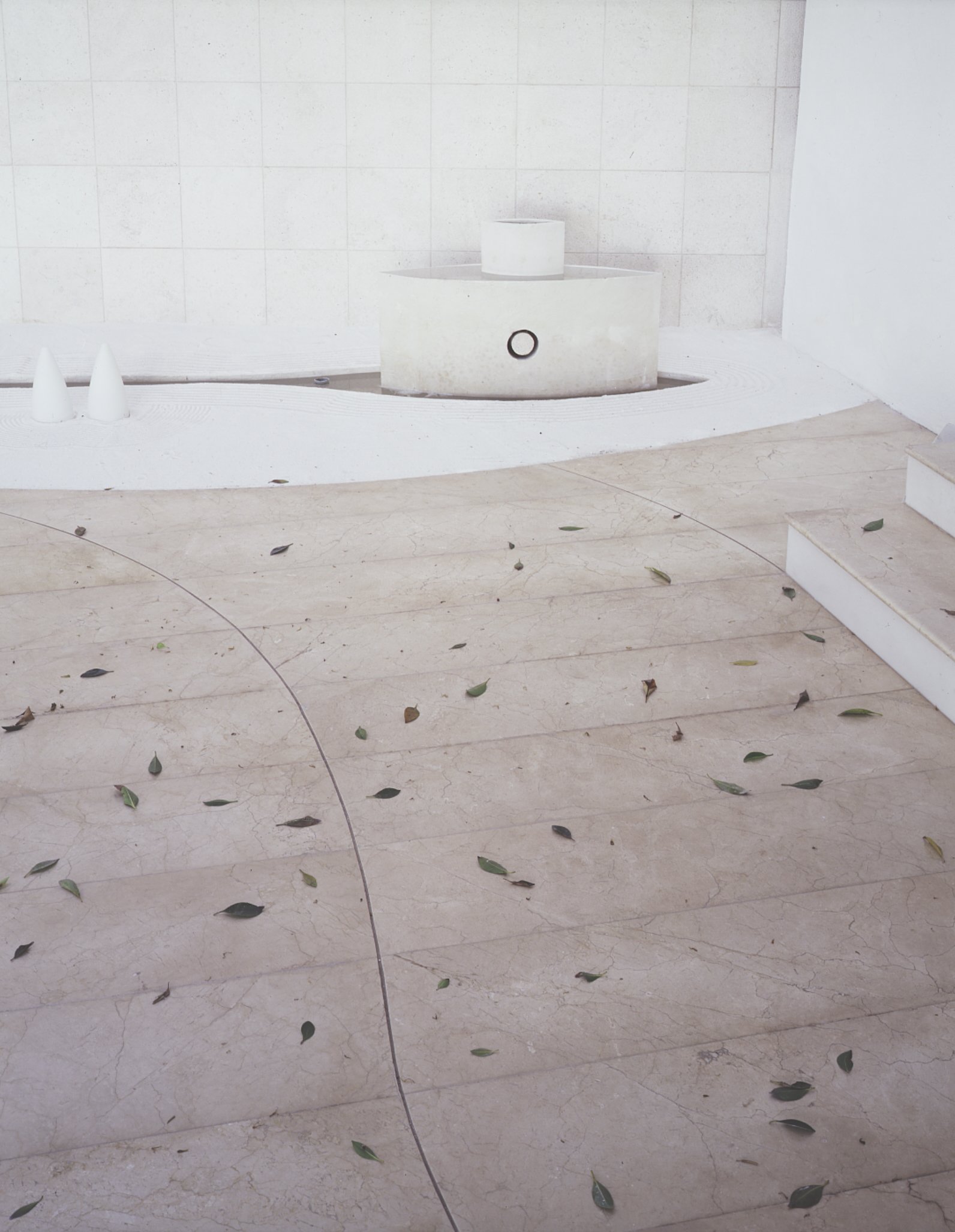 Captura de pantalla 2026-04-21 a las 4.29.21 p. m..jpg