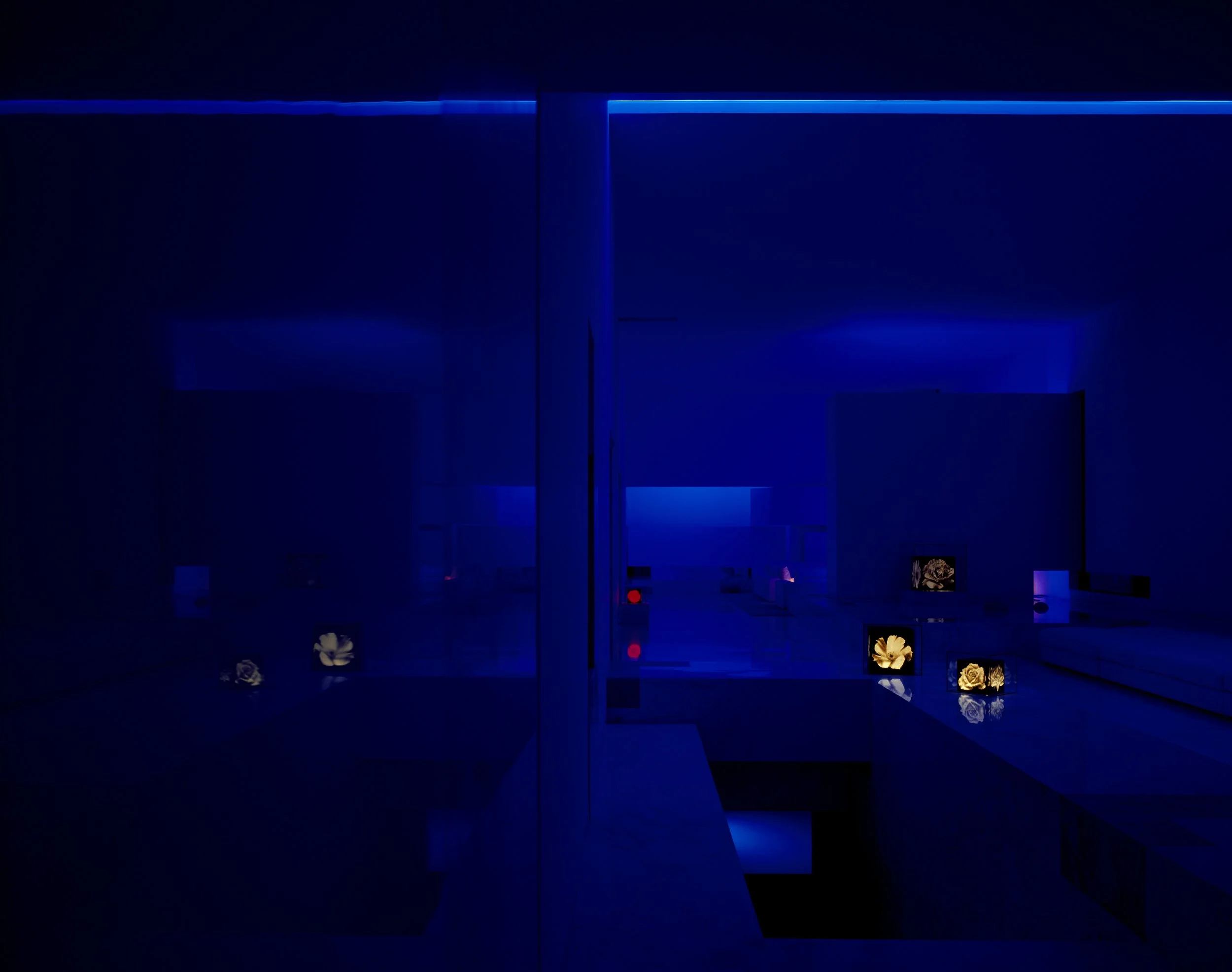 Sala oscura con iluminación azul, mesas y sillas, decoración con rosas blancas, ambiente moderno y minimalista.
