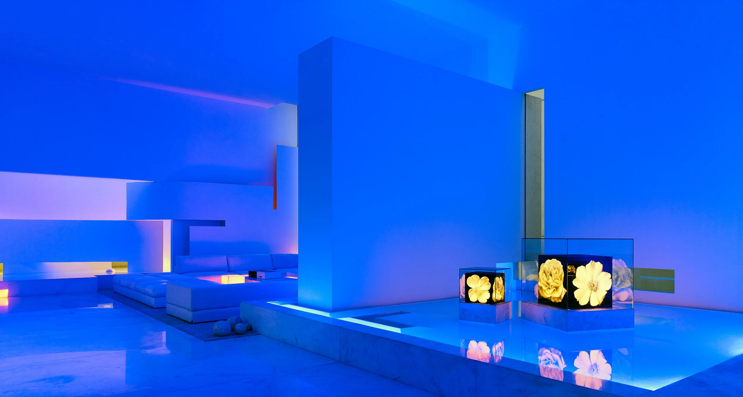 Interior moderno con paredes y mobiliario en tonos blancos y neón azul, decorado con flores iluminadas en exhibiciones de cristal.