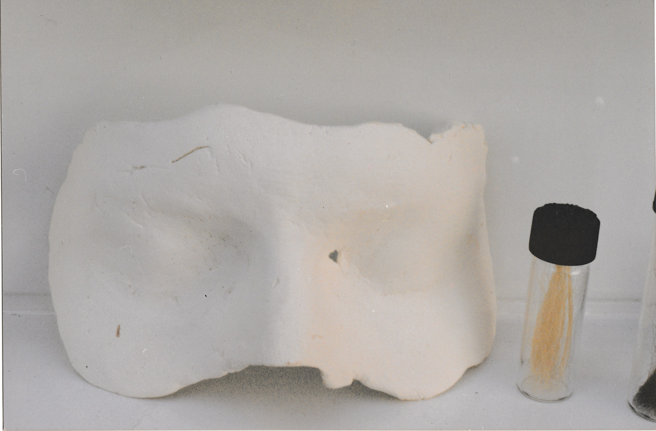 White plaster face mold with eye and nose impressions displayed beside a small glass vial filled with wheat.