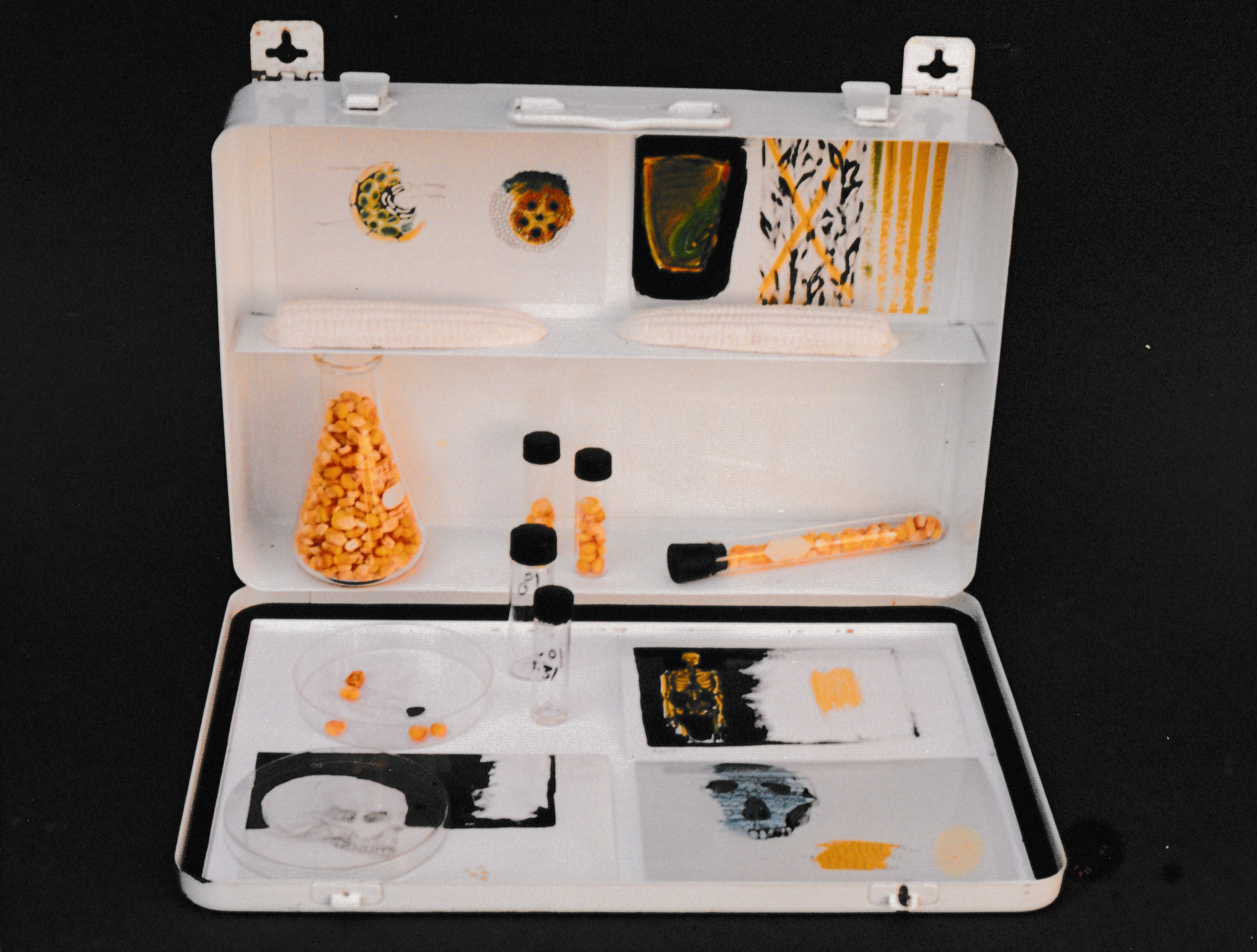Open specimen-style case containing small objects, images, and mixed-media elements arranged in organized compartments.