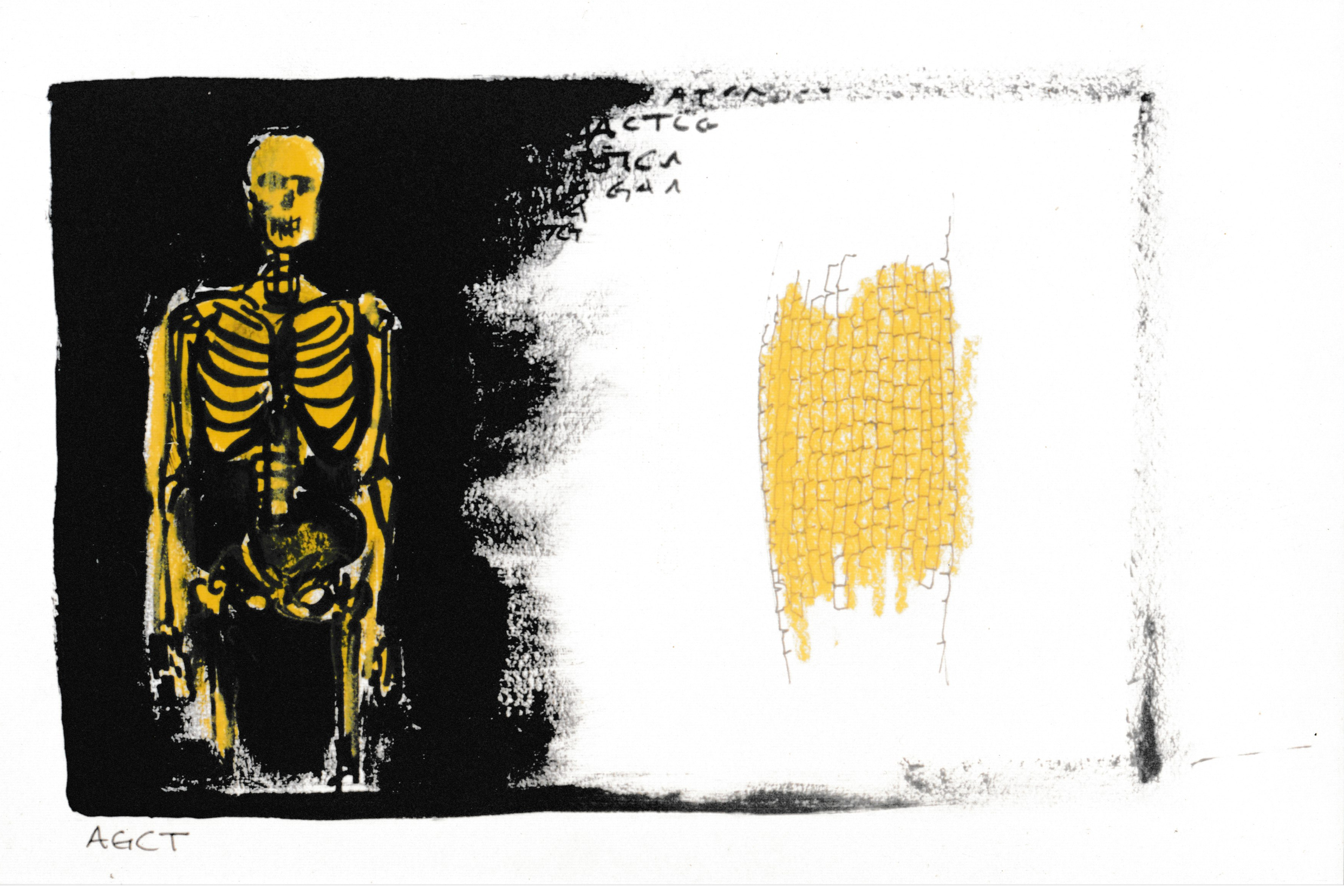 Abstract artwork featuring a yellow skeleton figure against a black and white background with a drawing of corn to the right of the skeleton.