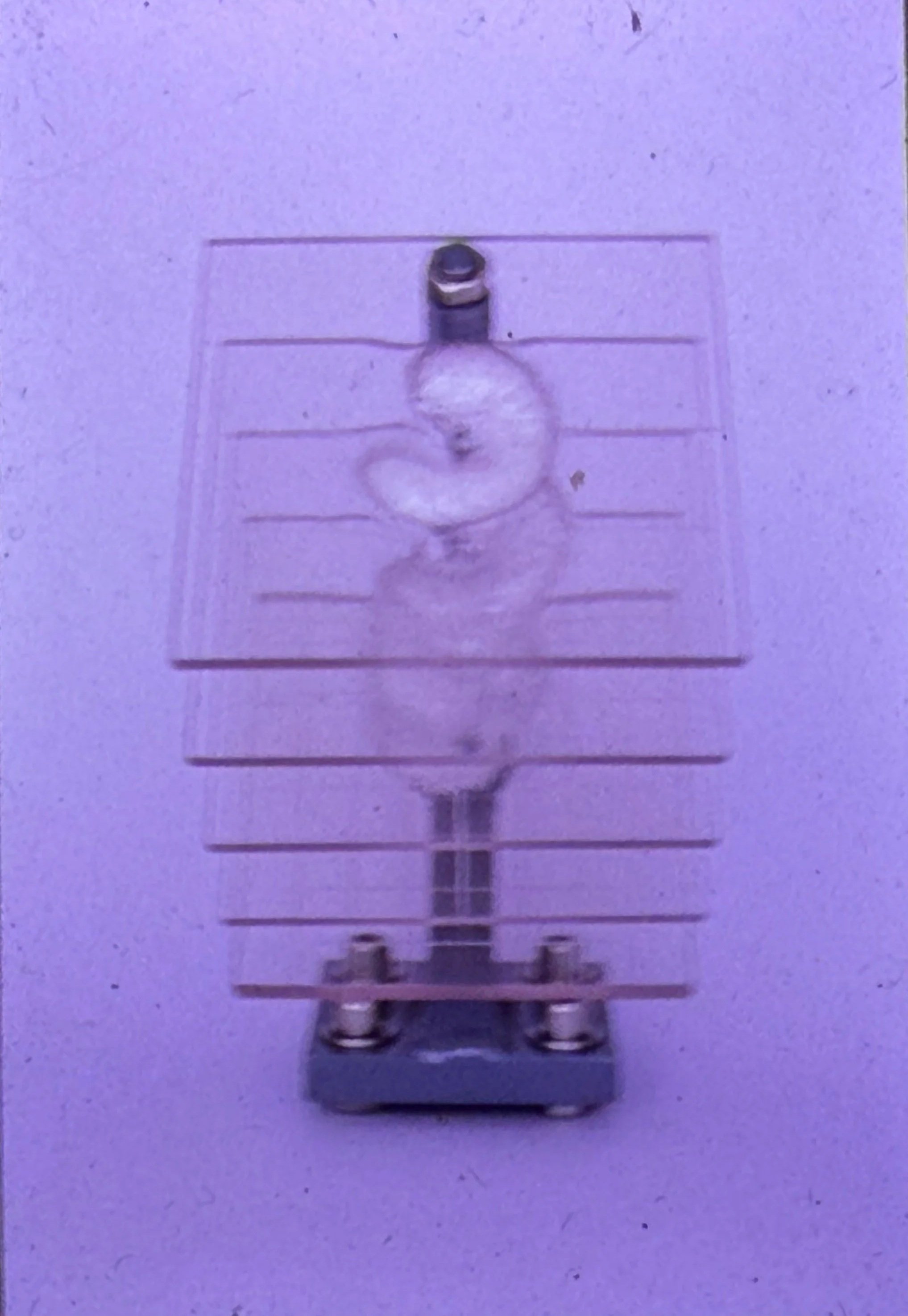 Transparent sculpture with layered horizontal planes and suspended circular forms arranged along a central axis.