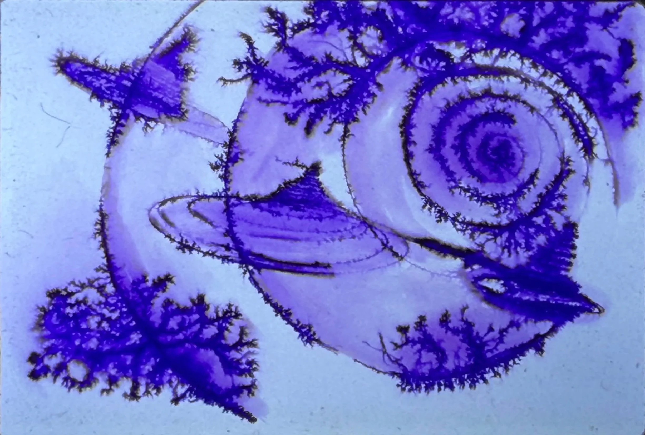 Abstract arrangement of spirals, circular forms, and branching patterns rendered in purple tones.