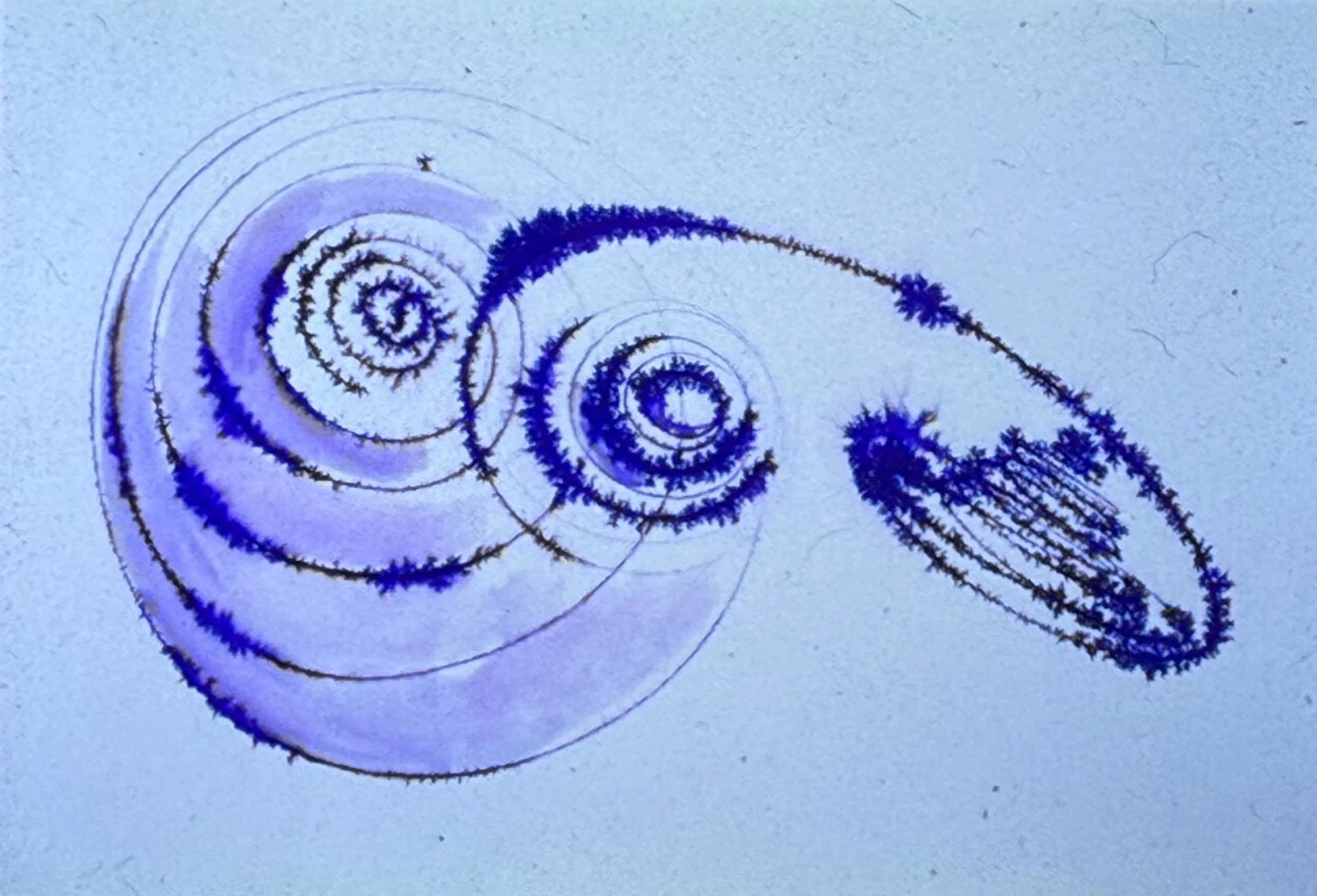 Minimalist abstract composed of concentric circular forms connected by sweeping curved lines.