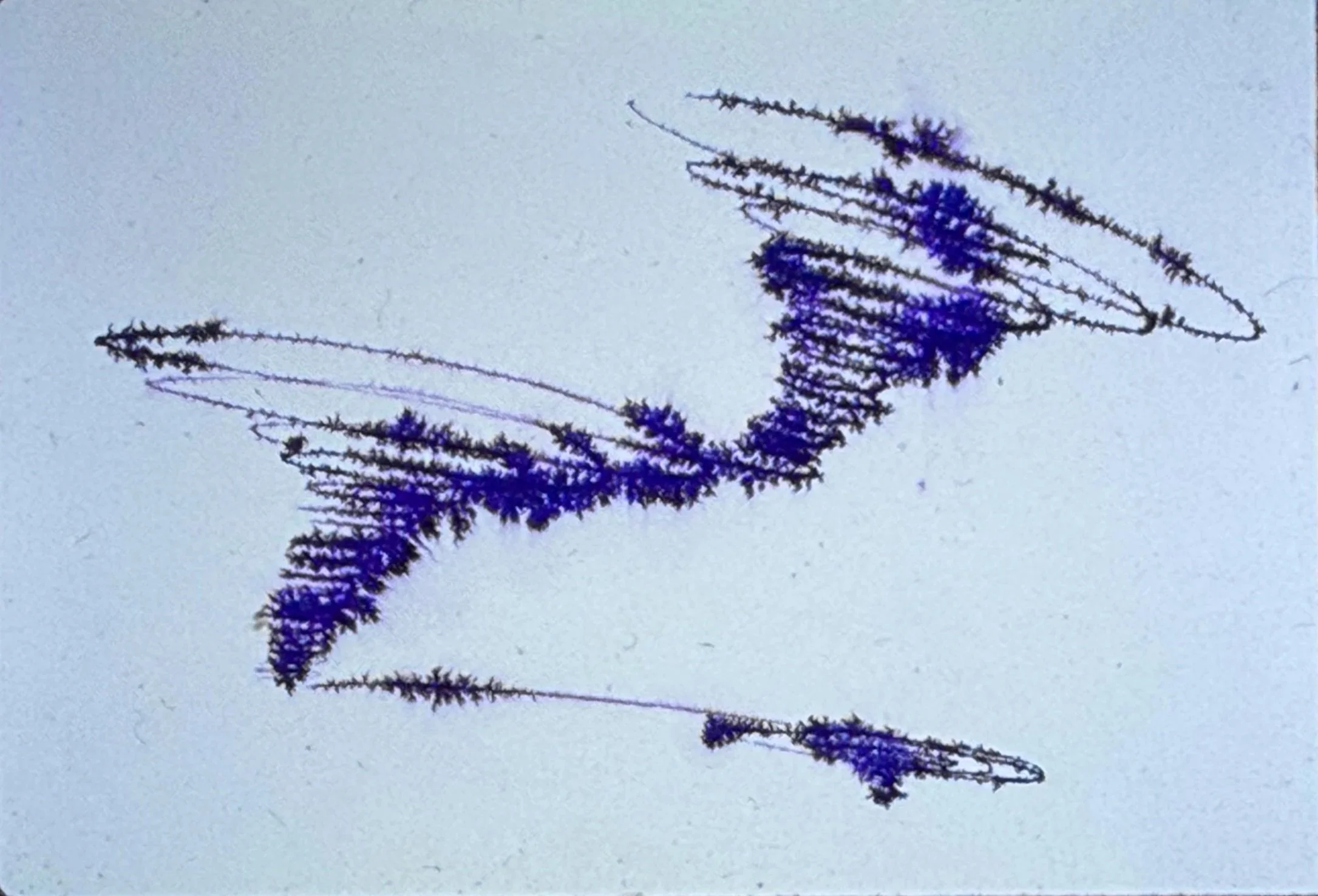 Dynamic blue abstract drawing composed of angular forms and looping spiral shapes.