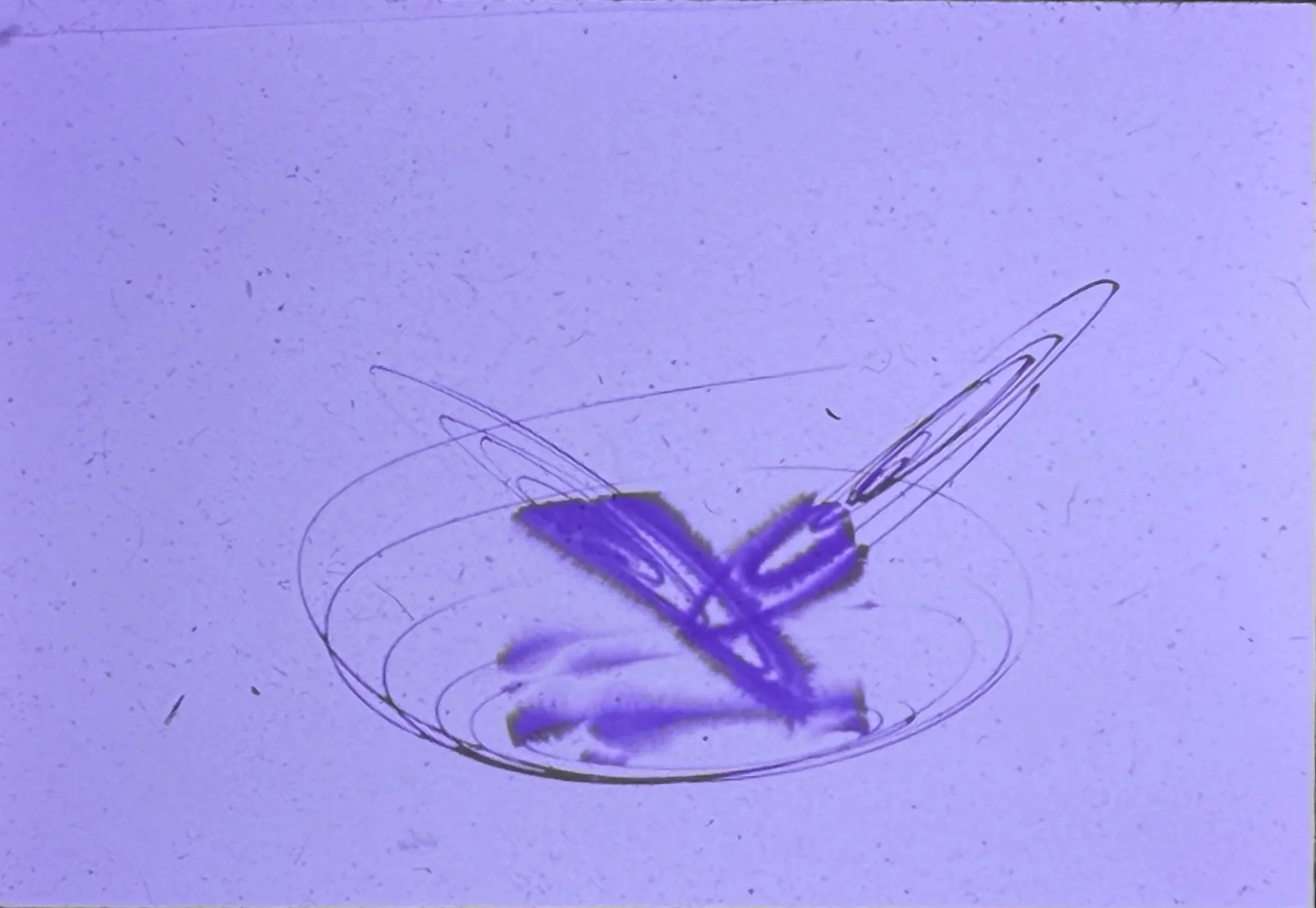 Small abstract drawing featuring intersecting loops and elliptical line forms.