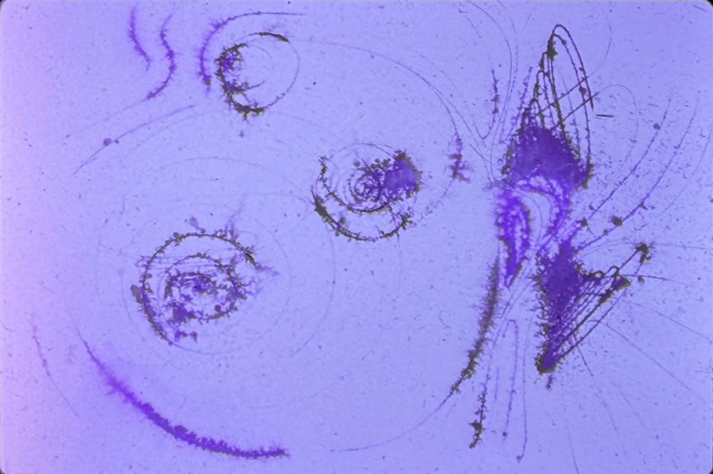 Abstract sketch composed of circular marks, spirals, and energetic line work.