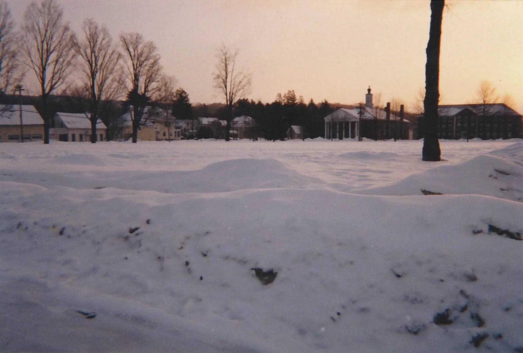 Snow-covered field and village landscape at sunset with bare winter trees.
