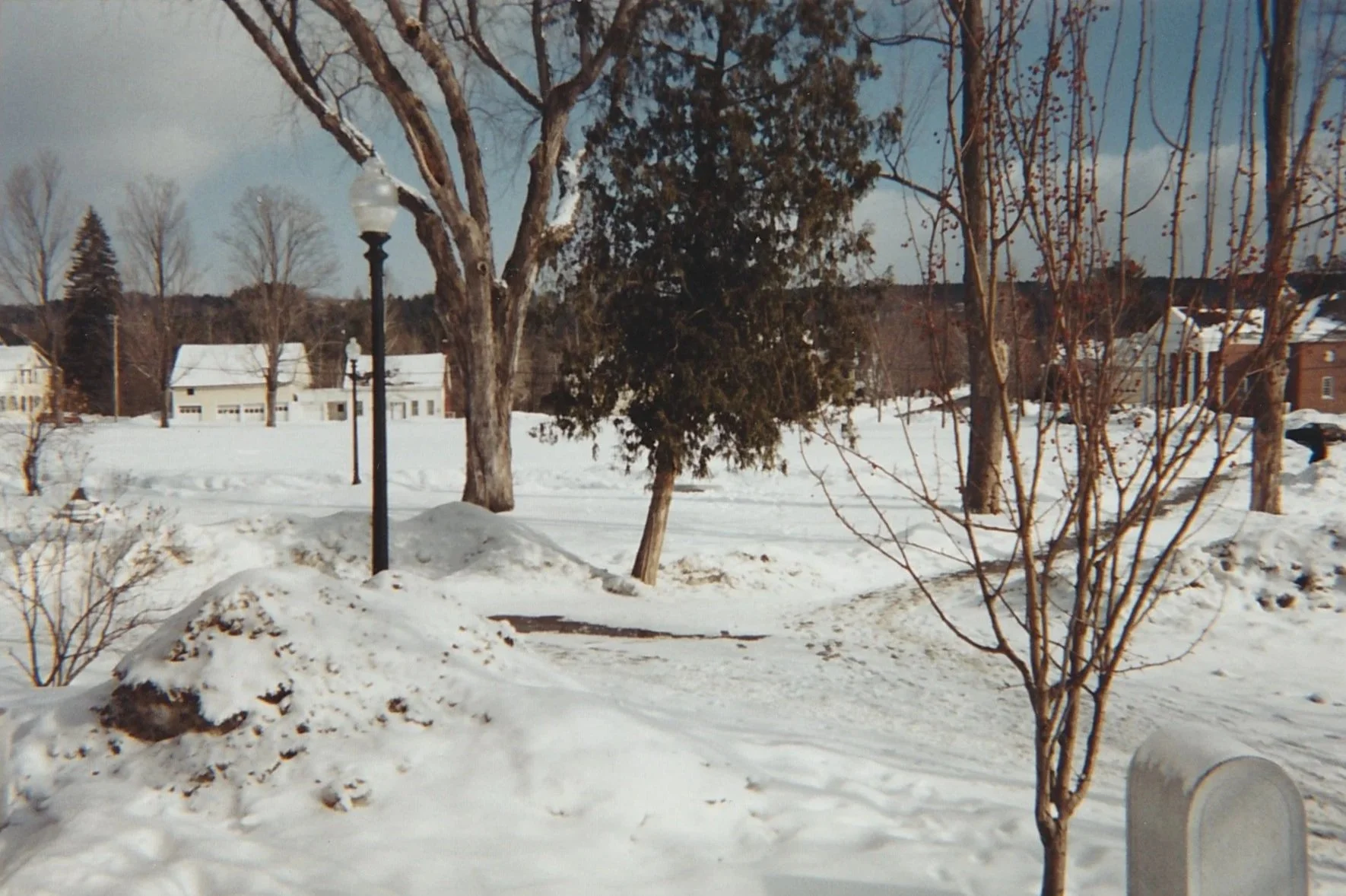 Snow-covered park with bare trees and winding footpaths crossing a quiet winter landscape.