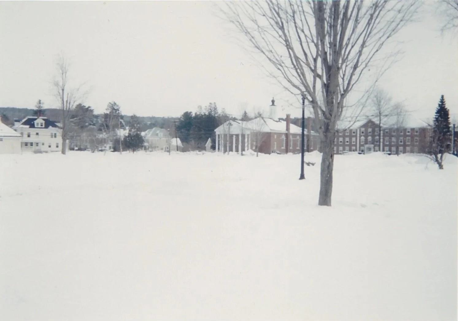 Vast snow-covered field dotted with bare trees and distant buildings under a pale winter sky.