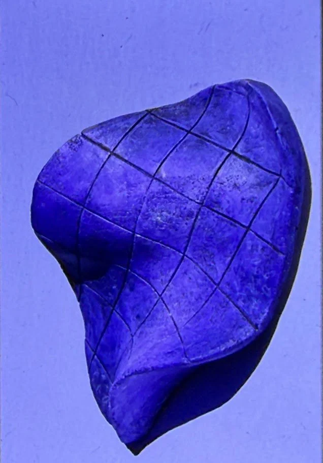 Smooth blue sculptural form resembling a folded organic shell or curved landscape. Dark grid lines cross the surface, creating a geometric pattern over the rounded shape.